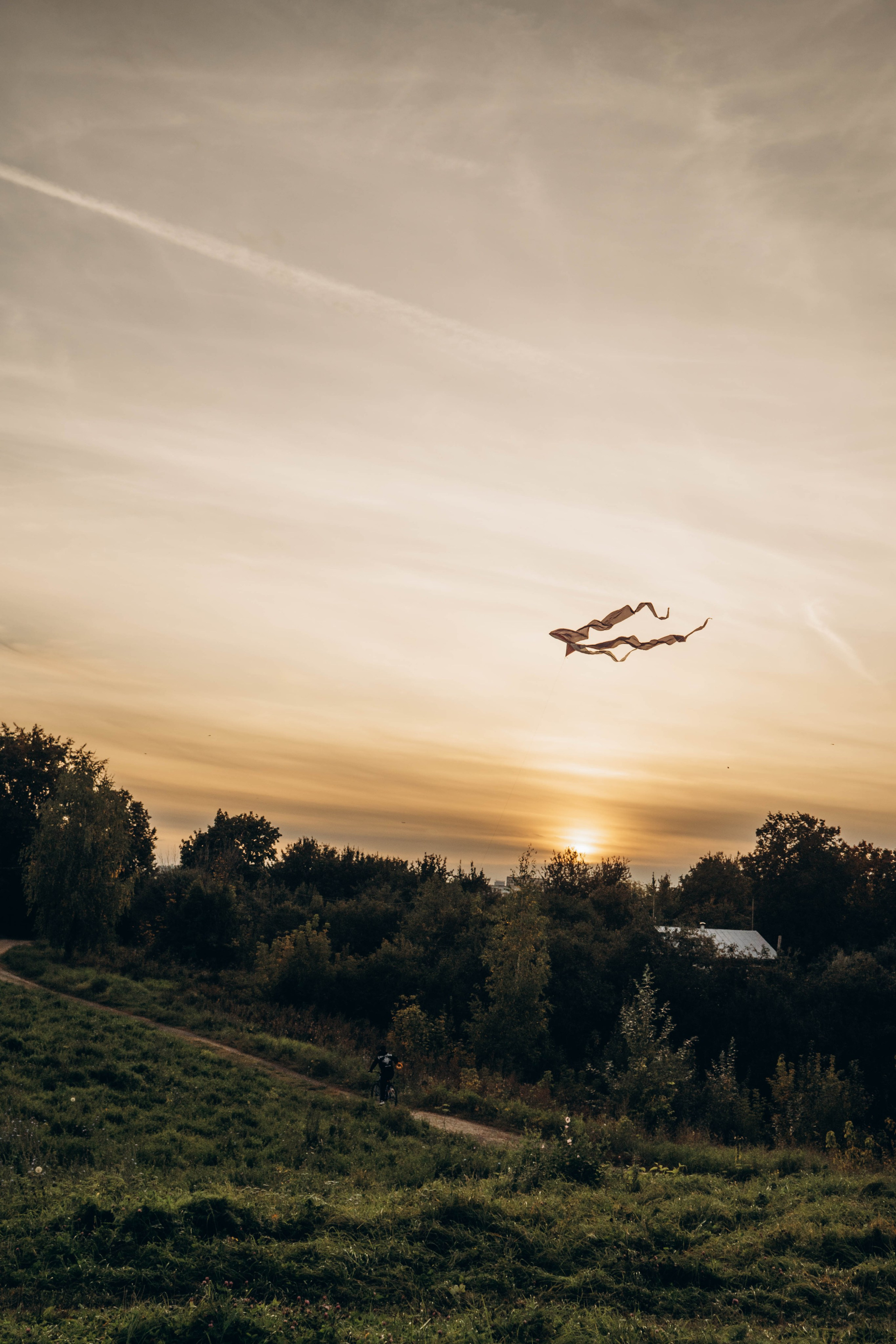 Обо мне. Фотограф Москва Валерия Веденина