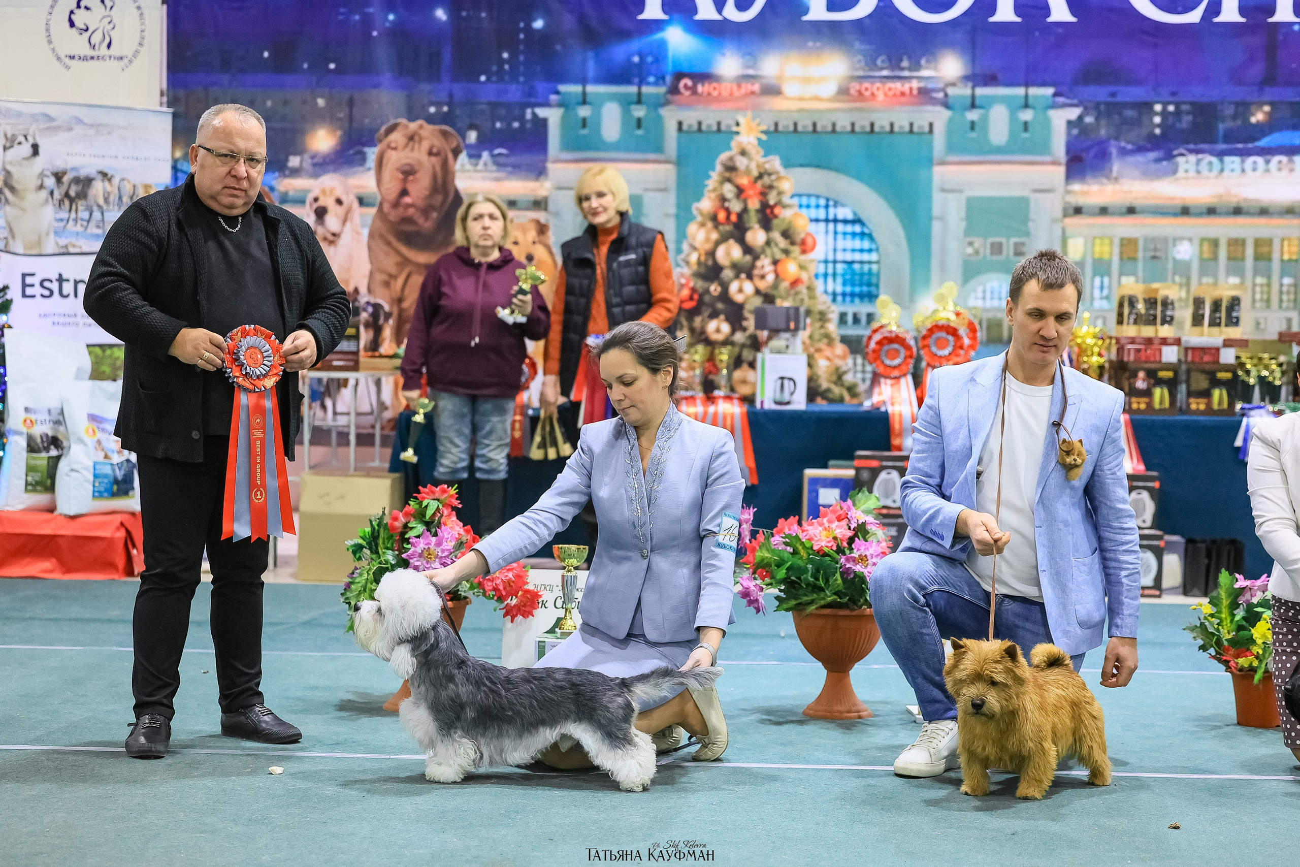 6-7.12.25 — 1-4 Национальные выставки собак в Новосибирске (2х рейтинговые). Фотограф Анималист из Новосибирска Татьяна Кауфман