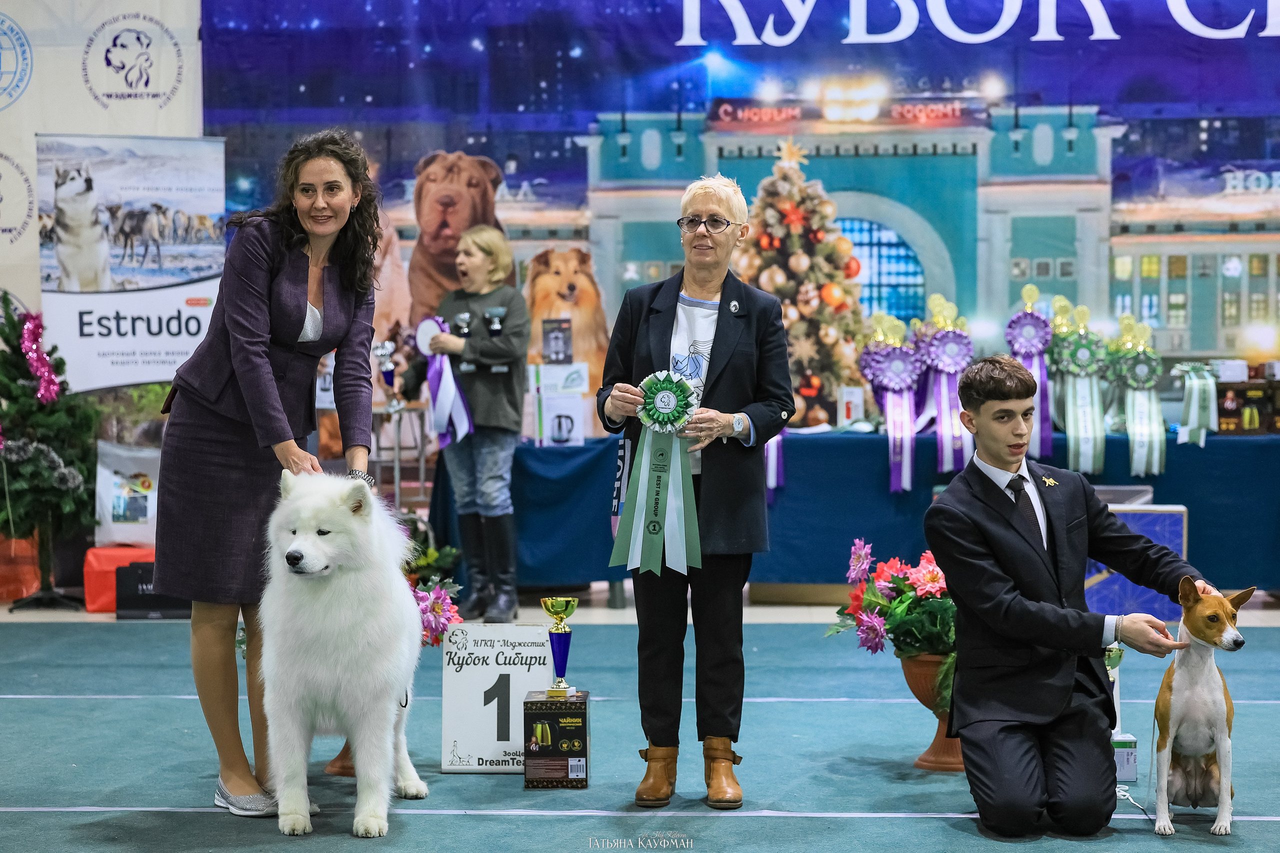 6-7.12.25 — 1-4 Национальные выставки собак в Новосибирске (2х рейтинговые). Фотограф Анималист из Новосибирска Татьяна Кауфман
