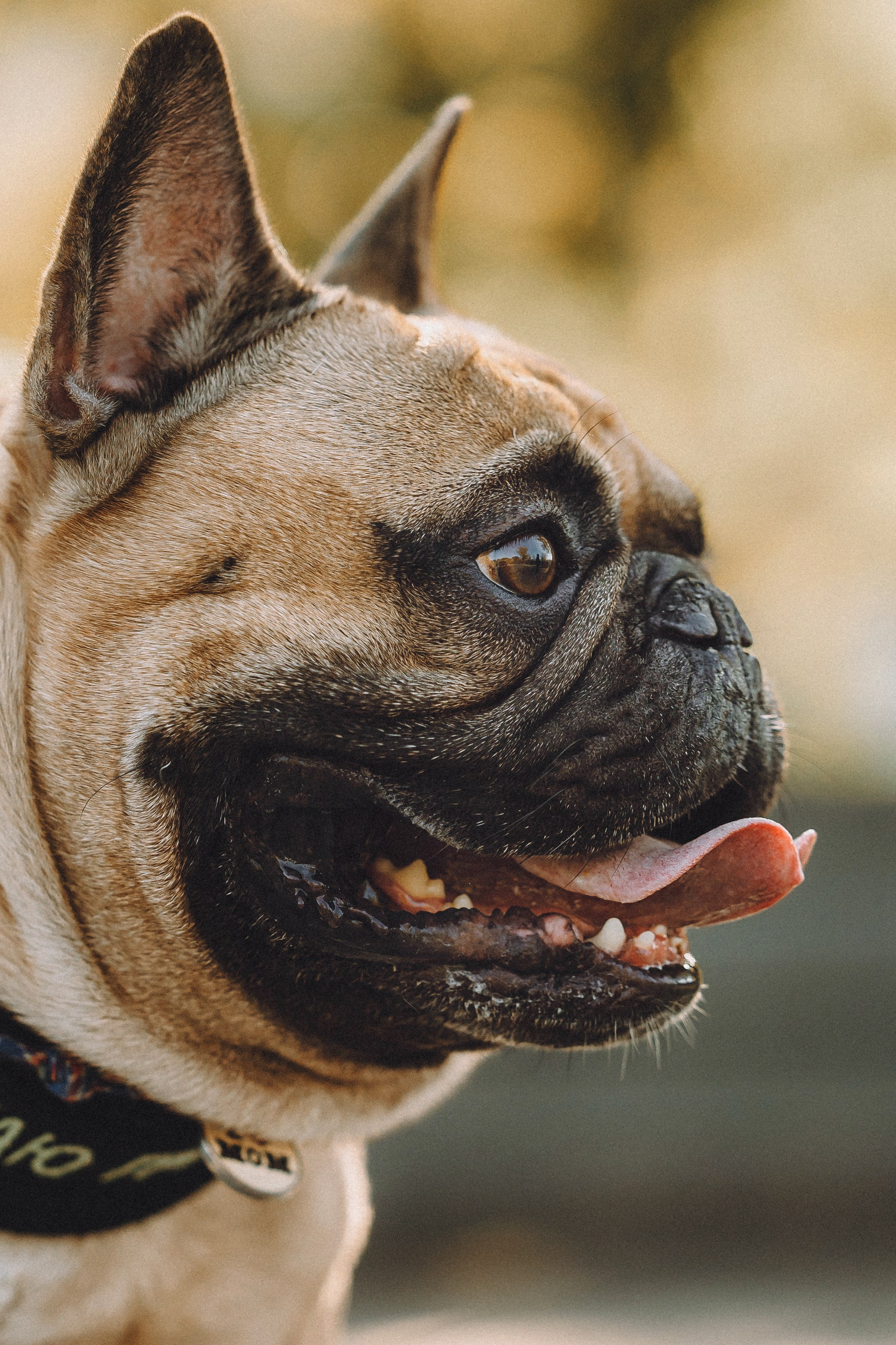 Настя, Женя и Хонор