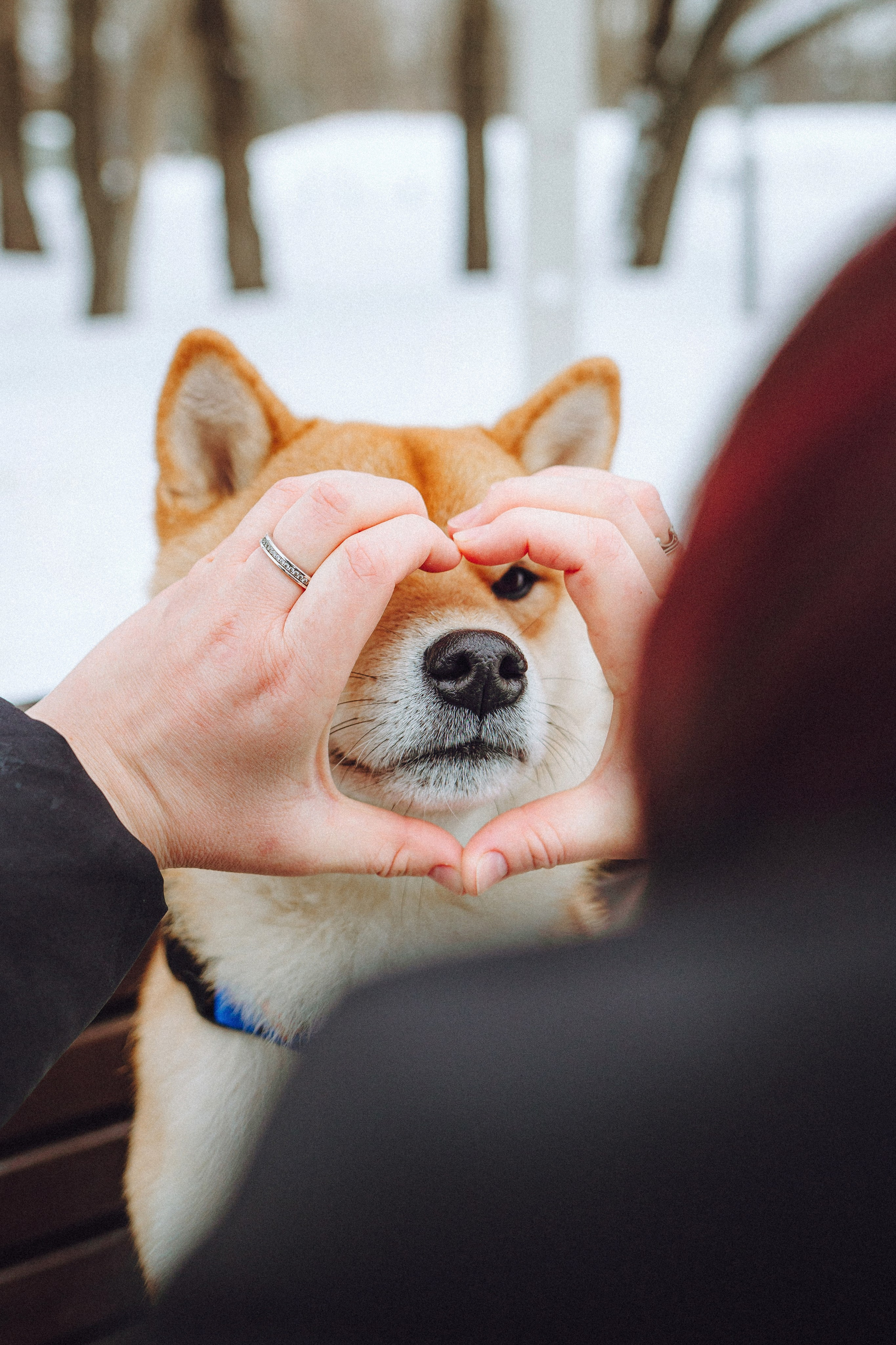 Настя и Ронин