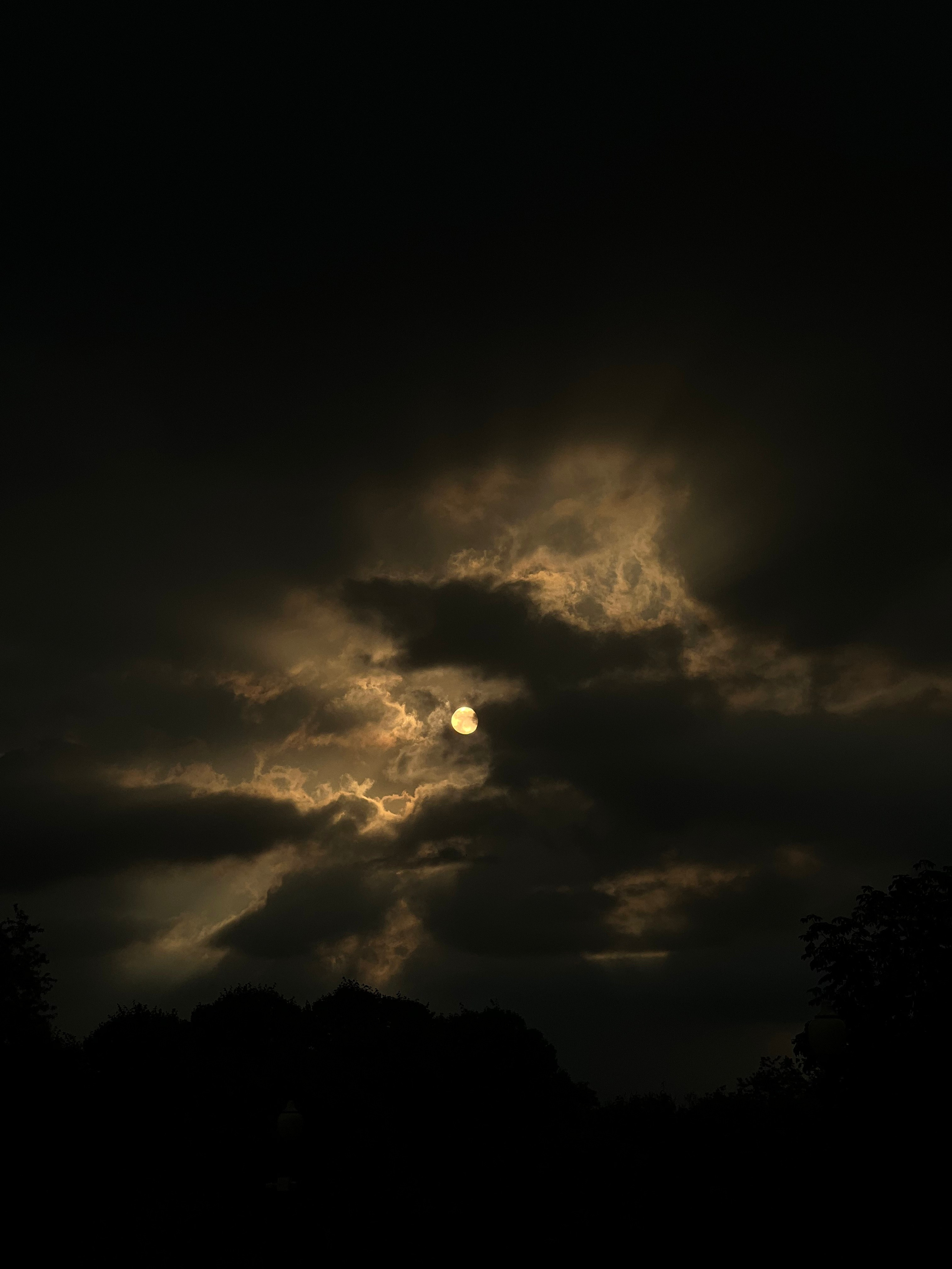 Fragments. Artem Khusainov