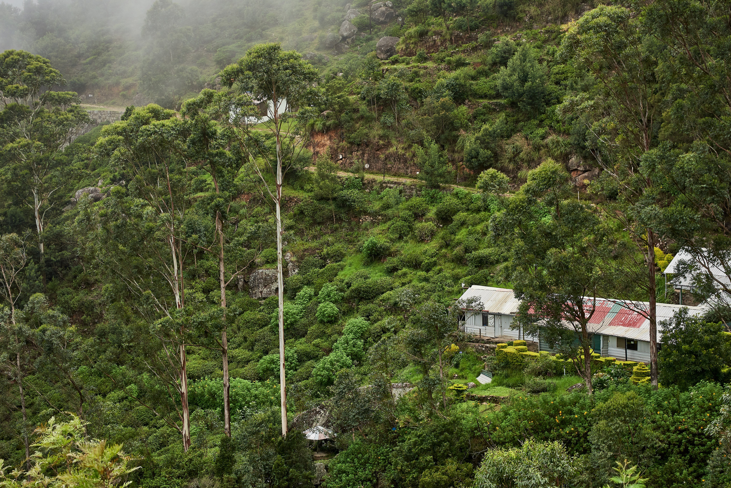 Moto Trip 23-05-19. Никита Хохловский фото и видео продакшн