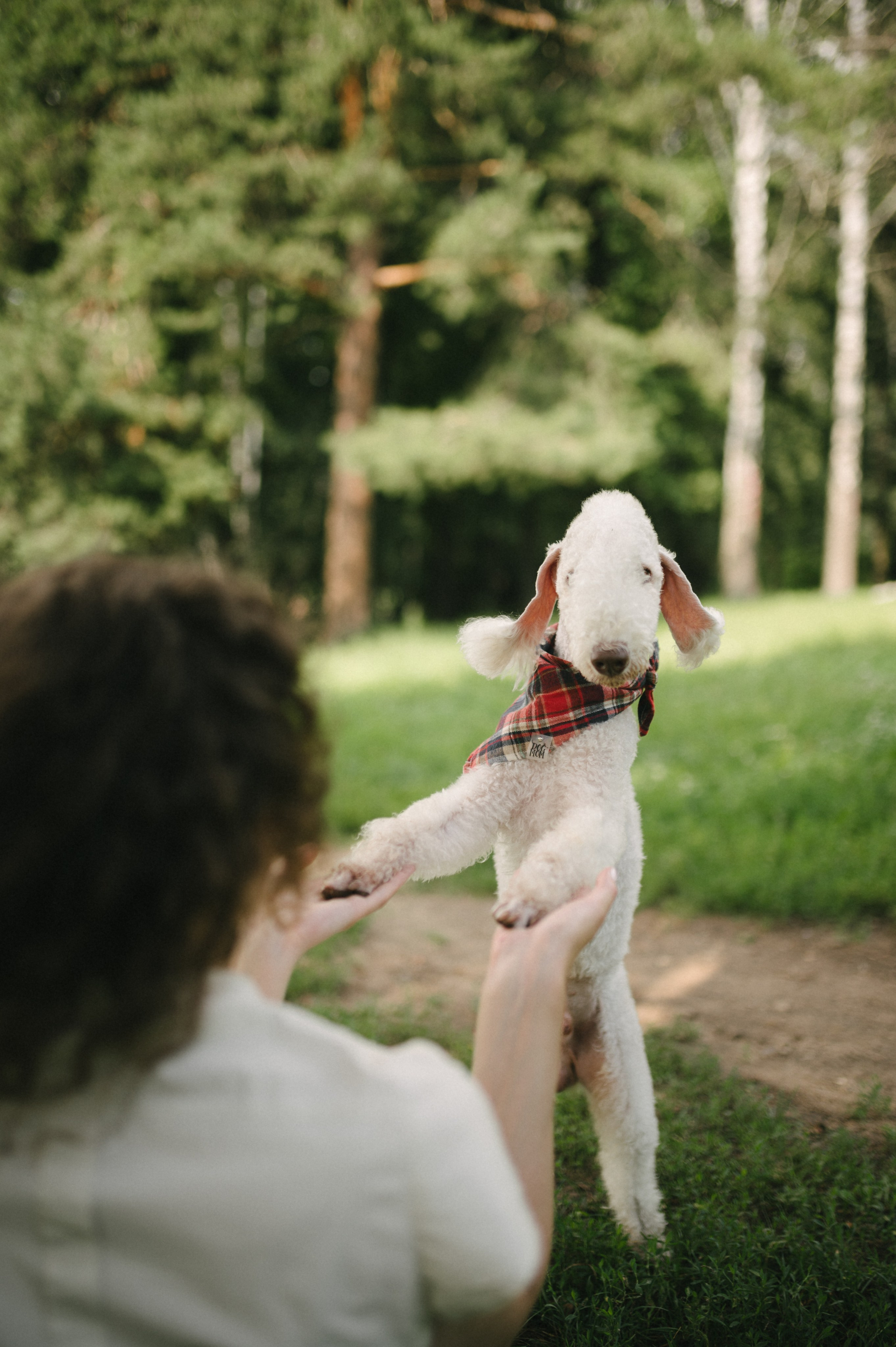 Лиза и Каспер. Фотограф анималист в Москве Ольга Агушева