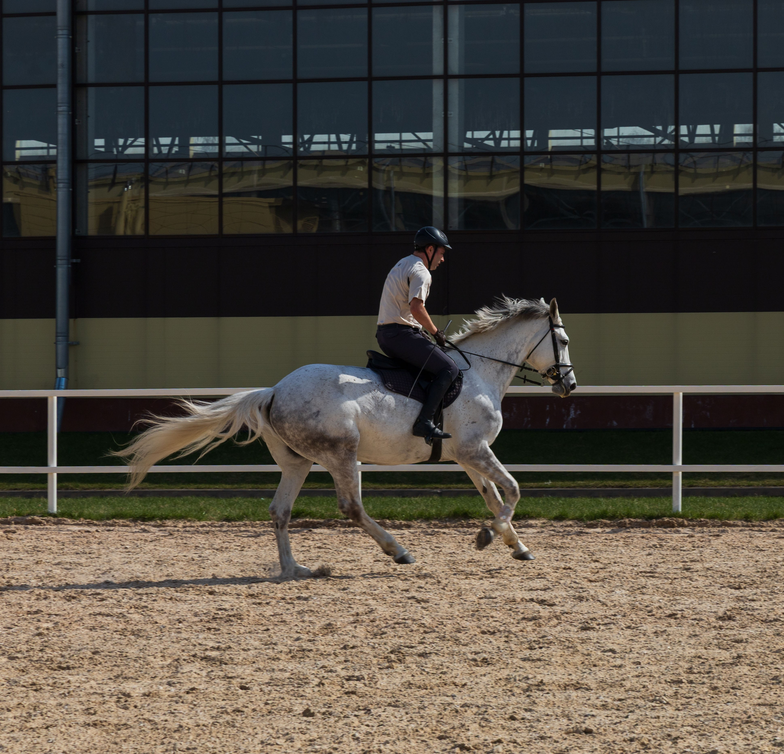 Репортаж.Конная тренировка. Портретный и семейный фотограф Санкт-Петербург