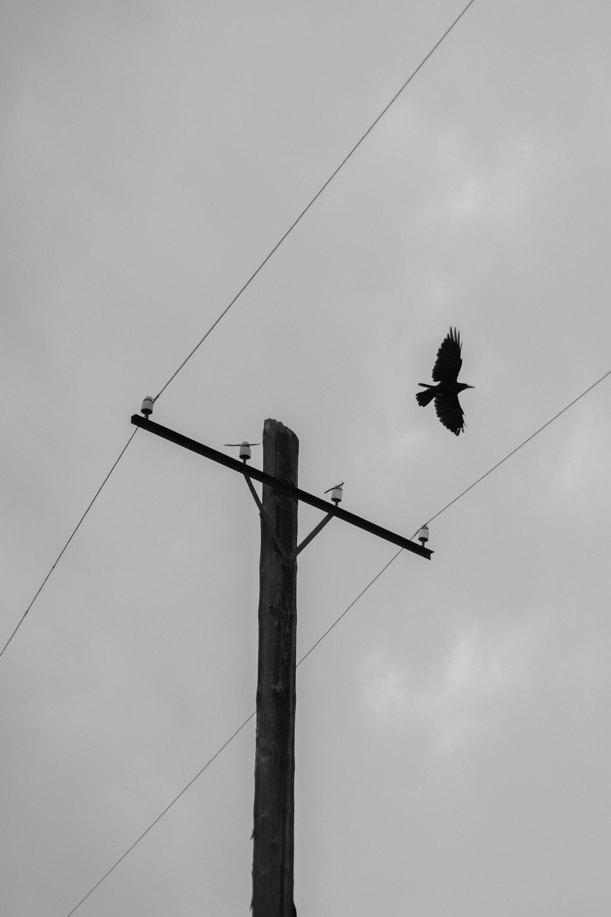 Issyk-Kul. Фотограф и исследователь фотографии из Санкт-Петербурга Елизавета Веприцкая