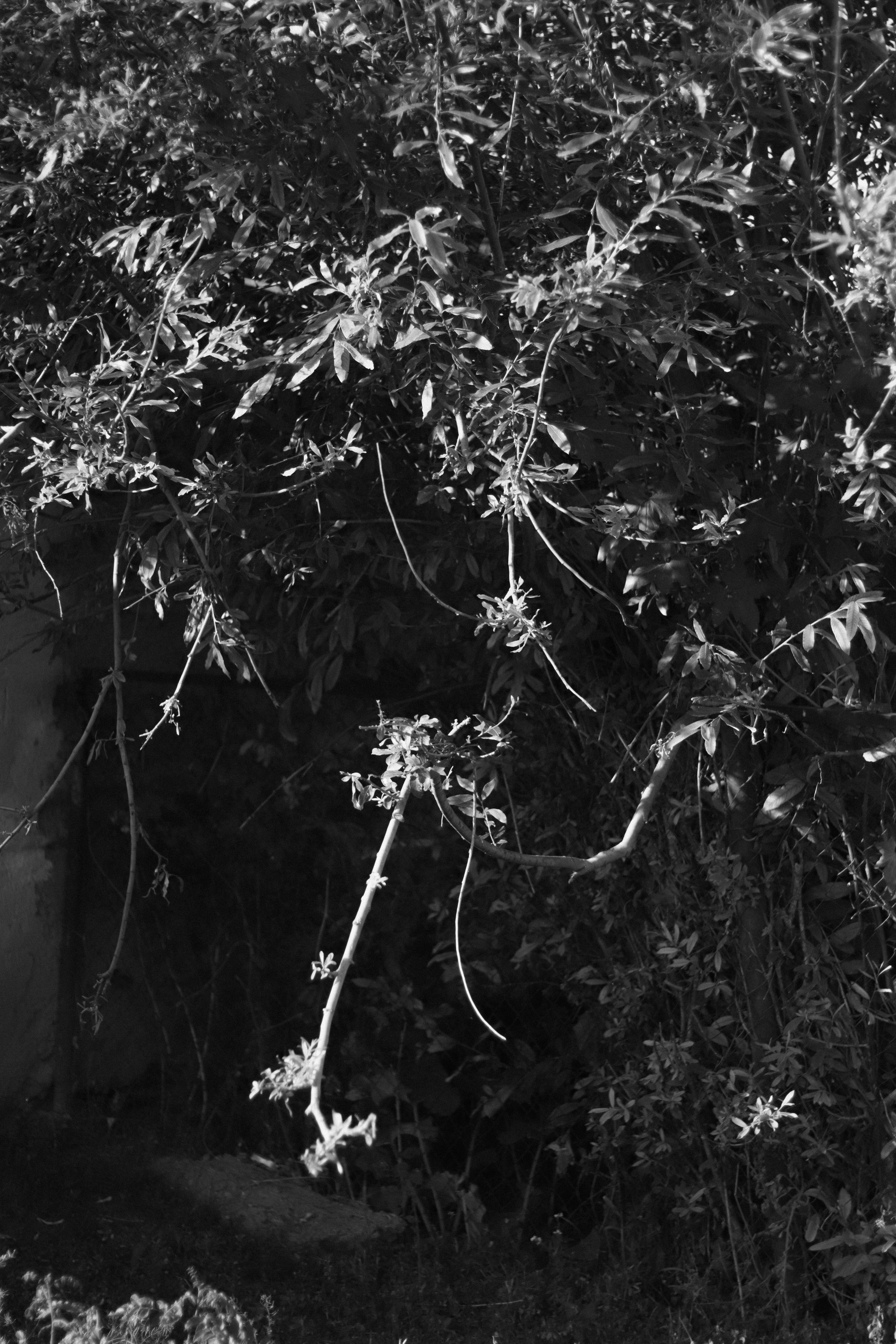 Issyk-Kul. Фотограф и исследователь фотографии из Санкт-Петербурга Елизавета Веприцкая