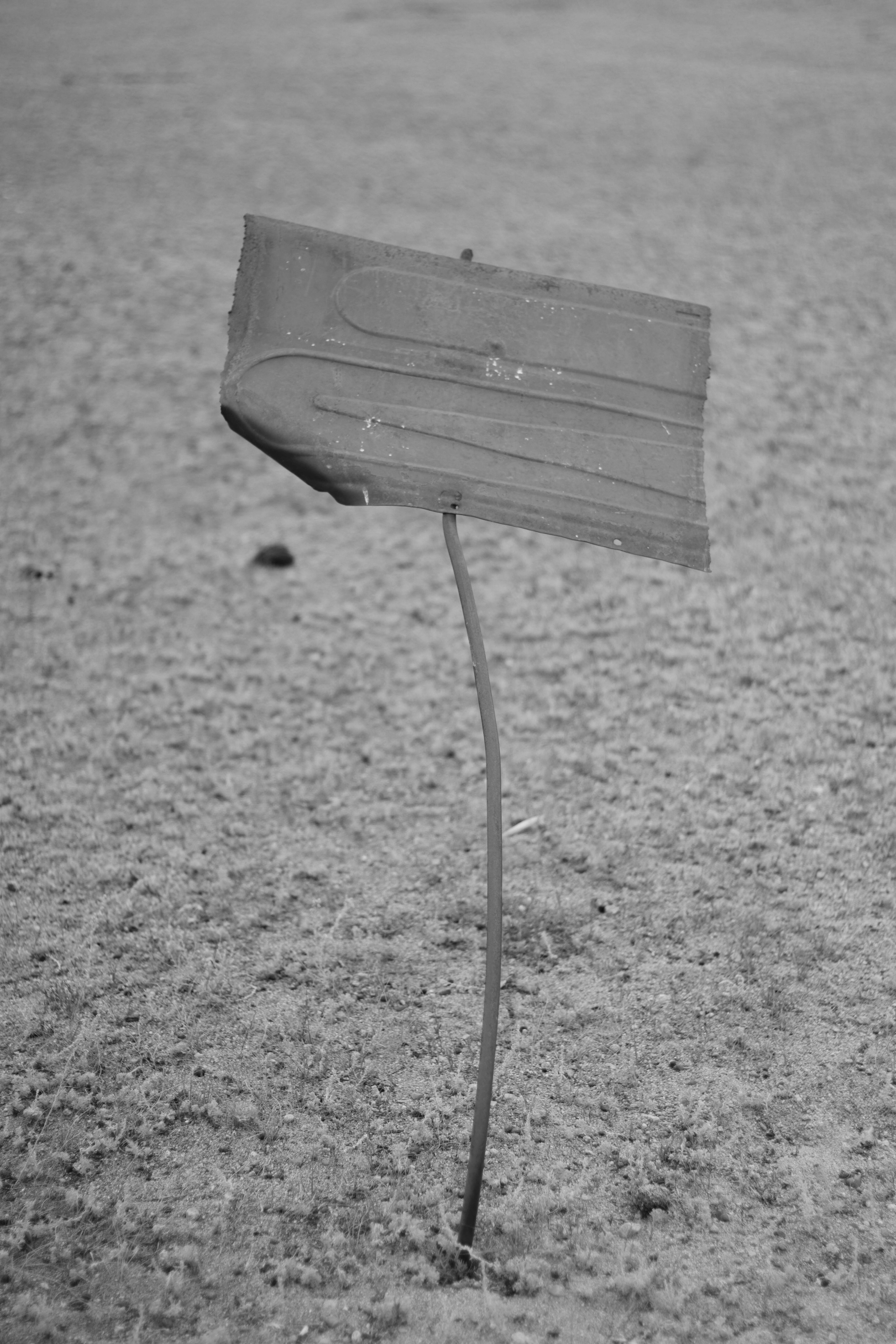 Issyk-Kul. Фотограф и исследователь фотографии из Санкт-Петербурга Елизавета Веприцкая