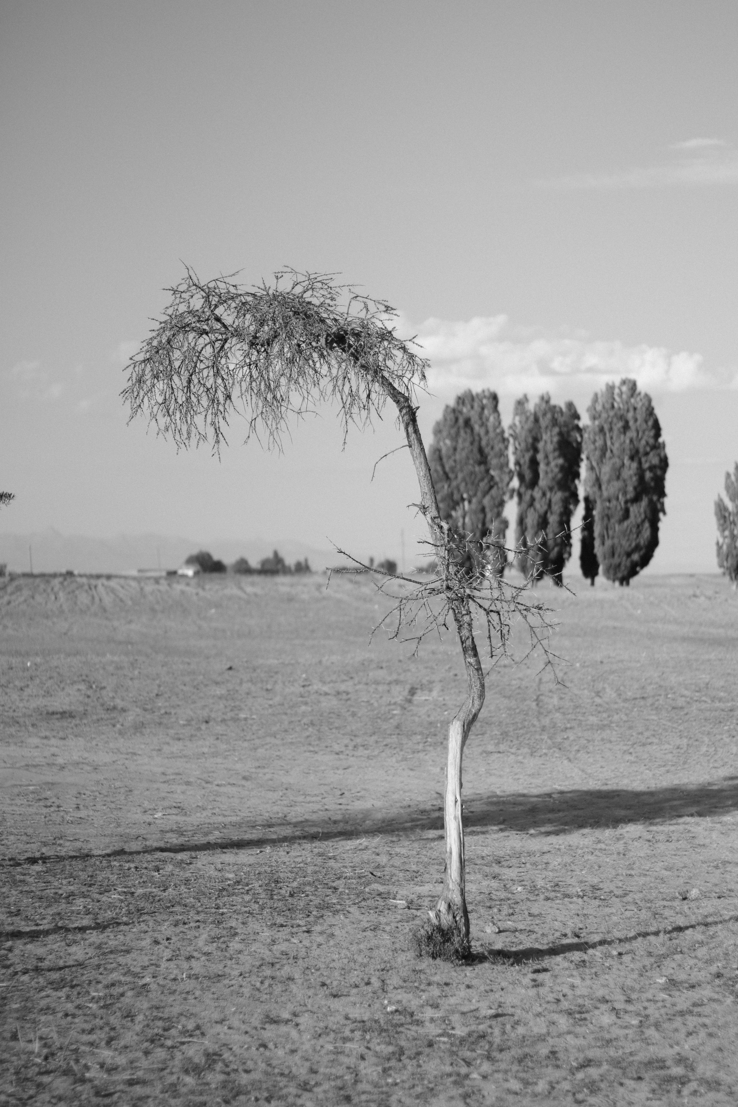 Issyk-Kul. Фотограф и исследователь фотографии из Санкт-Петербурга Елизавета Веприцкая