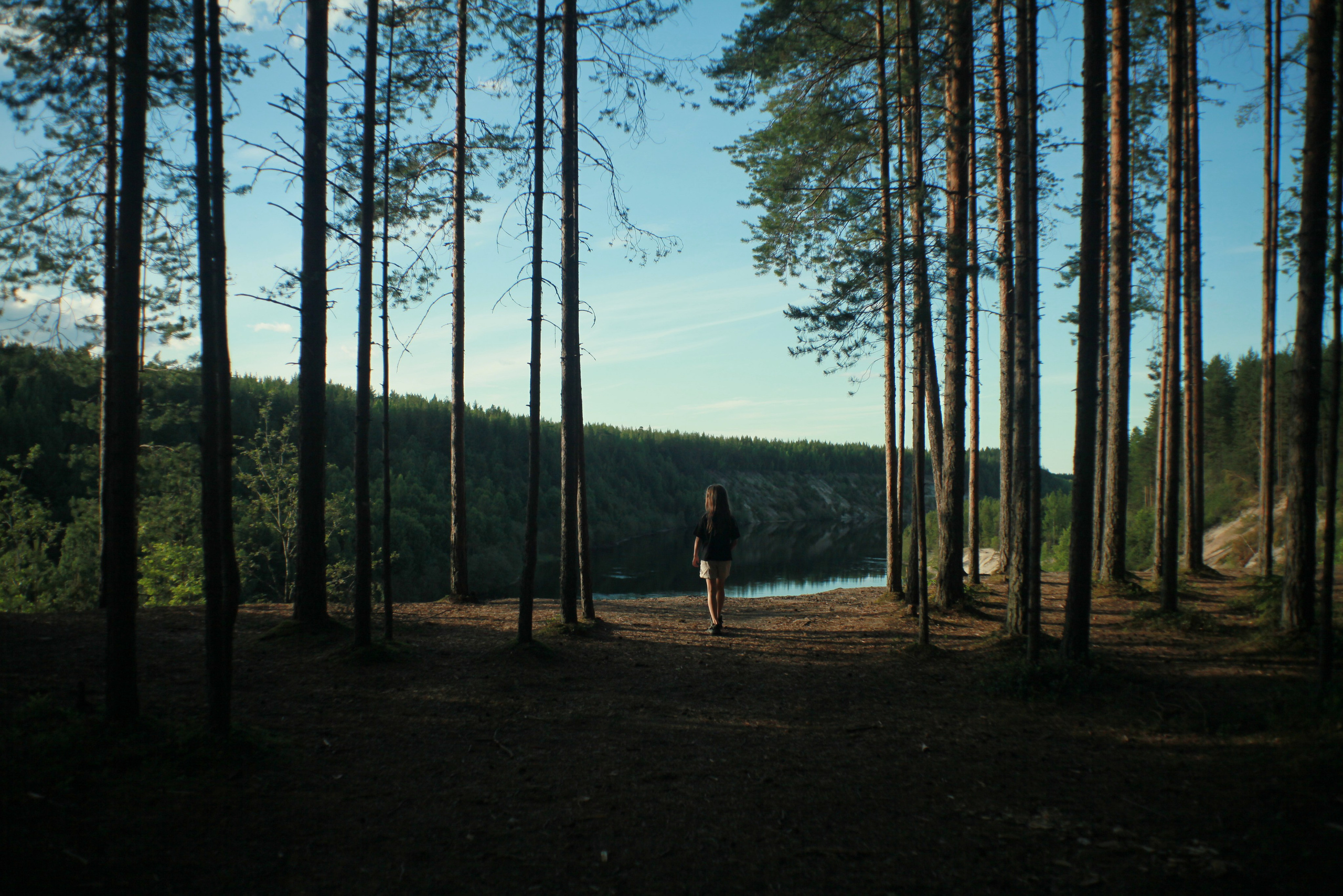 The Way