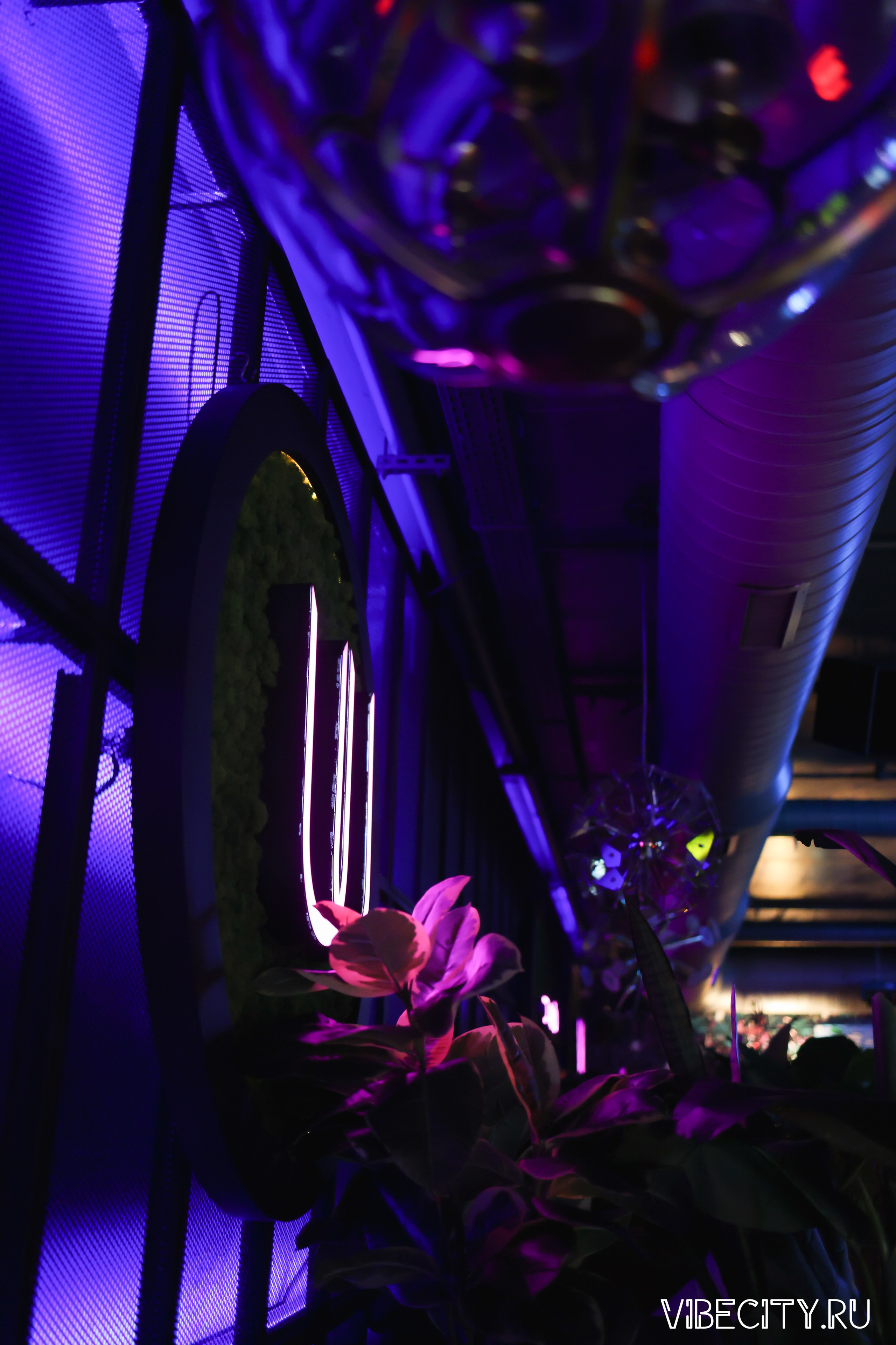 DOUBLE U. VIBECITY.RU Вайб Сити Ру Фоторепортажи Фотоотчеты Калининград