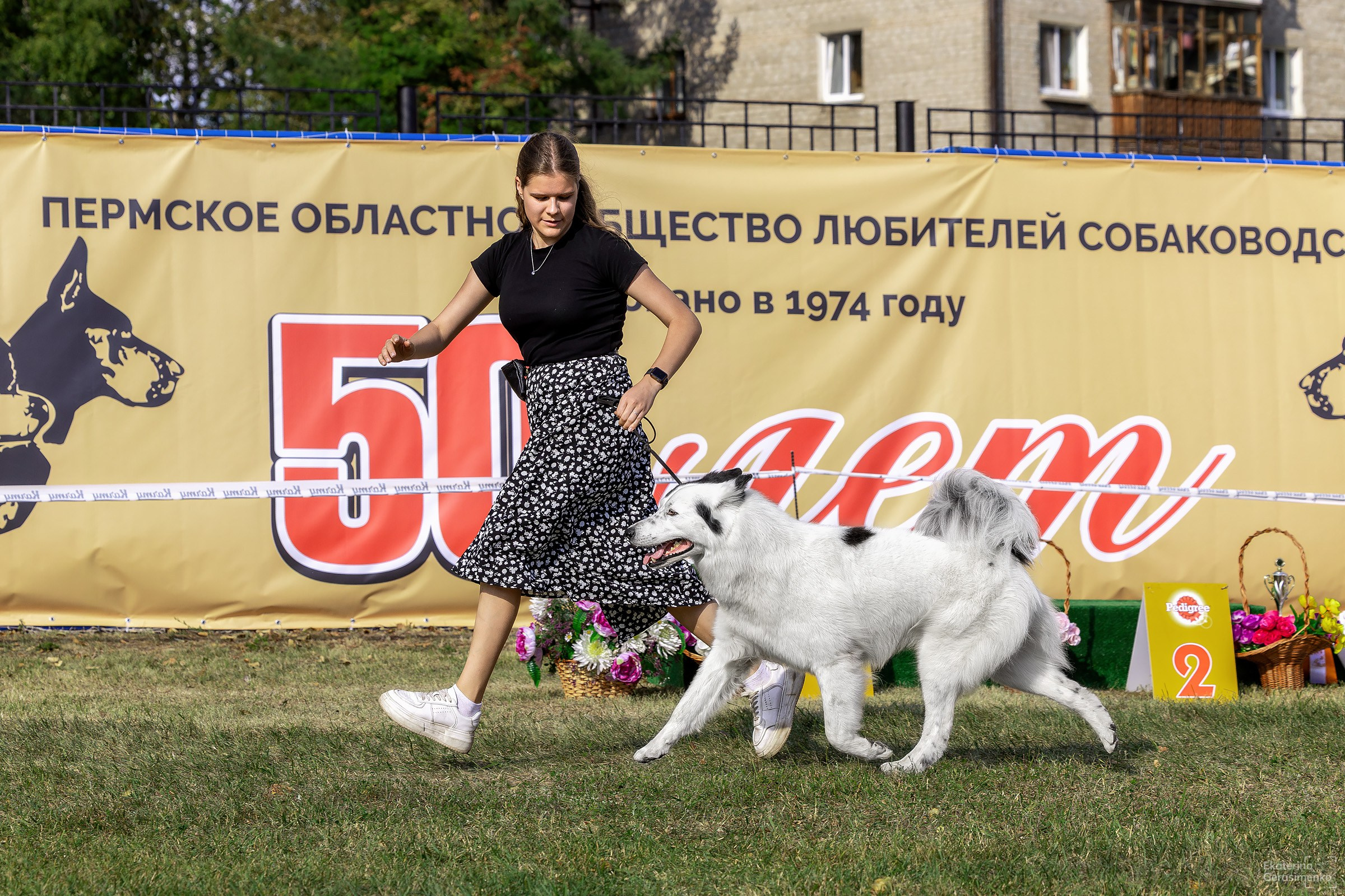 2–3 августа 2025, Выставка РКФ, г. Пермь. Htykk_photo