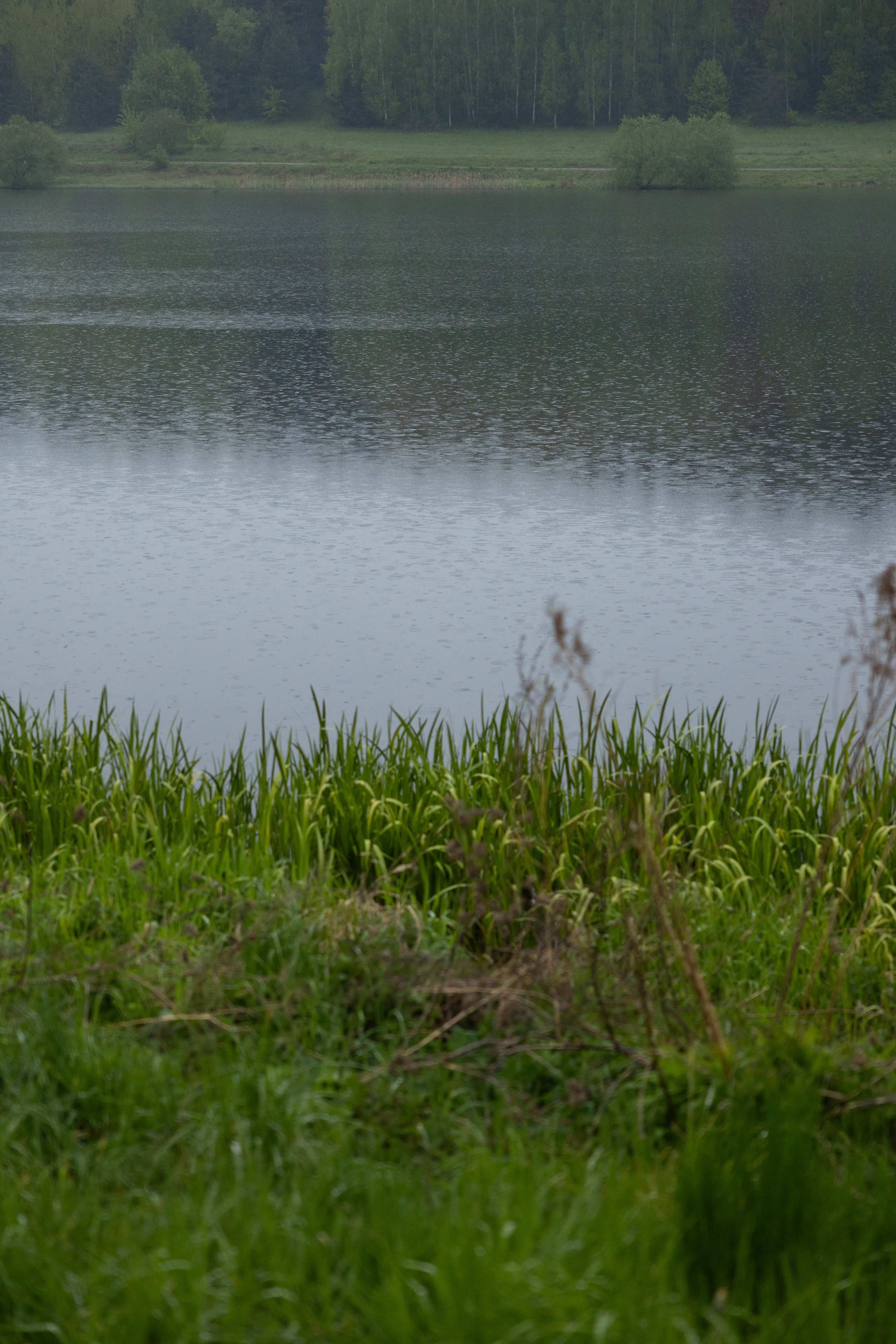 Ксения&Дима. Свадебный фотограф по всей Беларуси Цепелева Анна