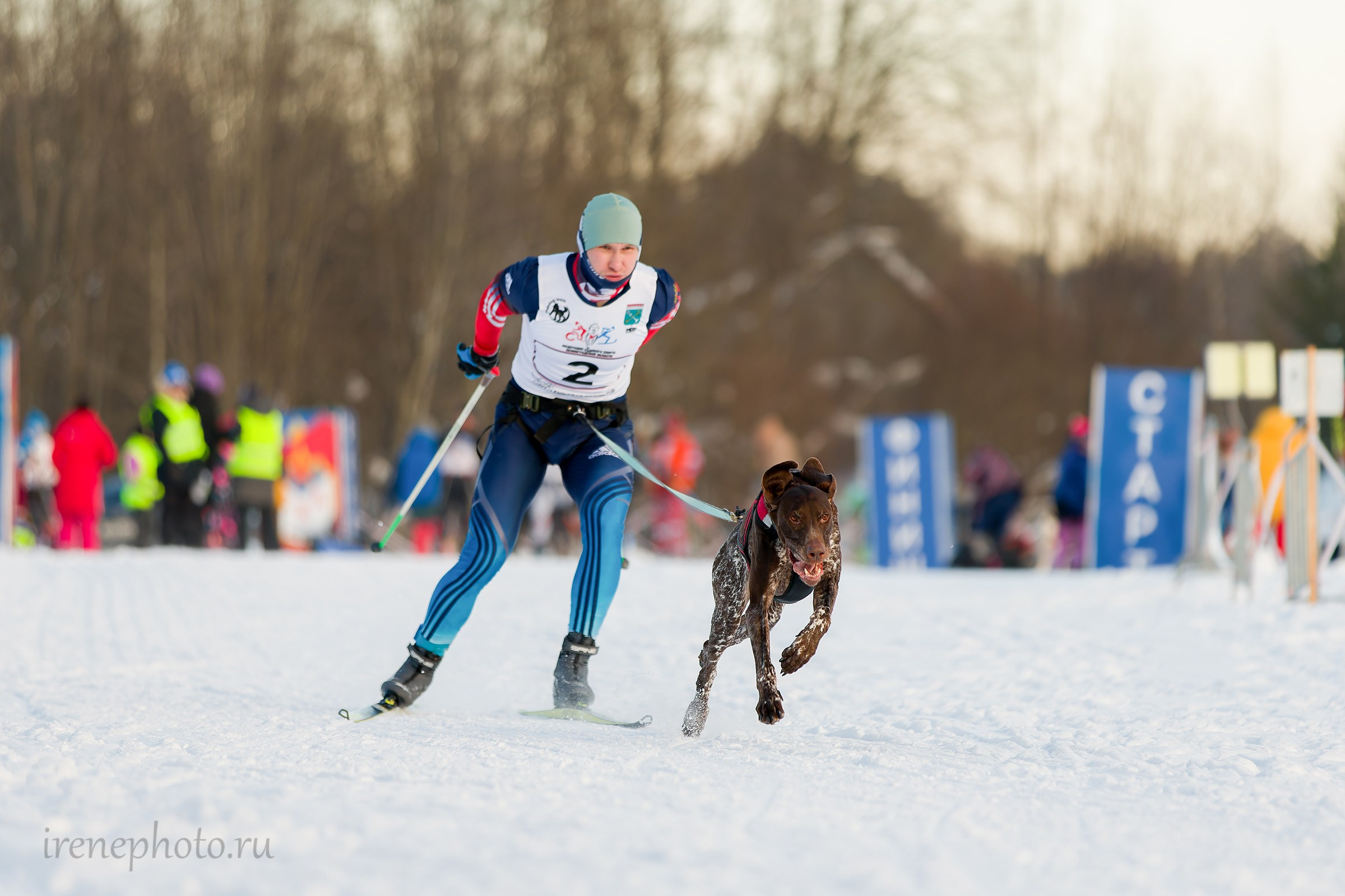 Чемпионат и Первенство Ленобласти — зима 2026. Irenephoto.ru