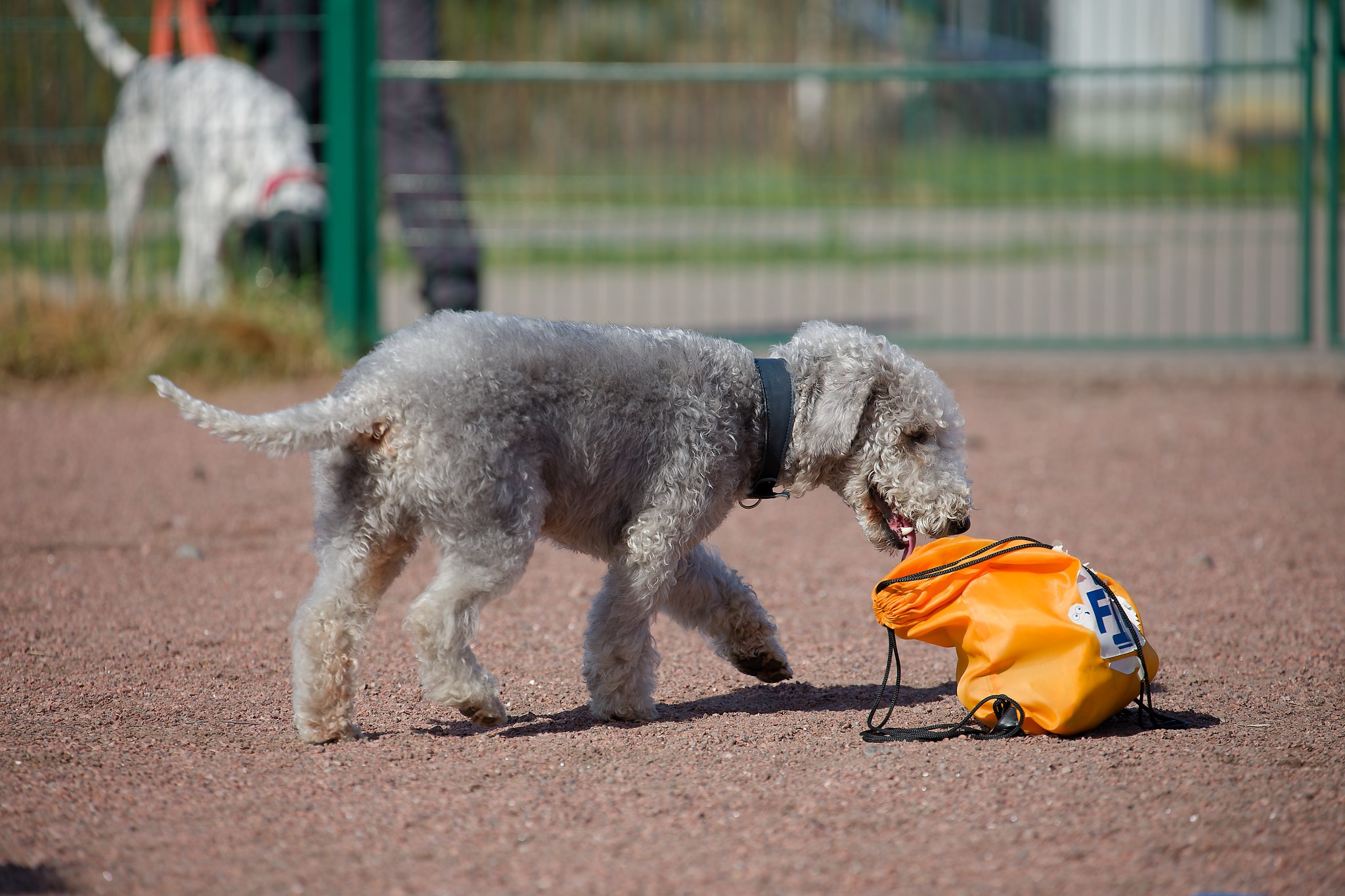 Турнир «Место». Irenephoto.ru