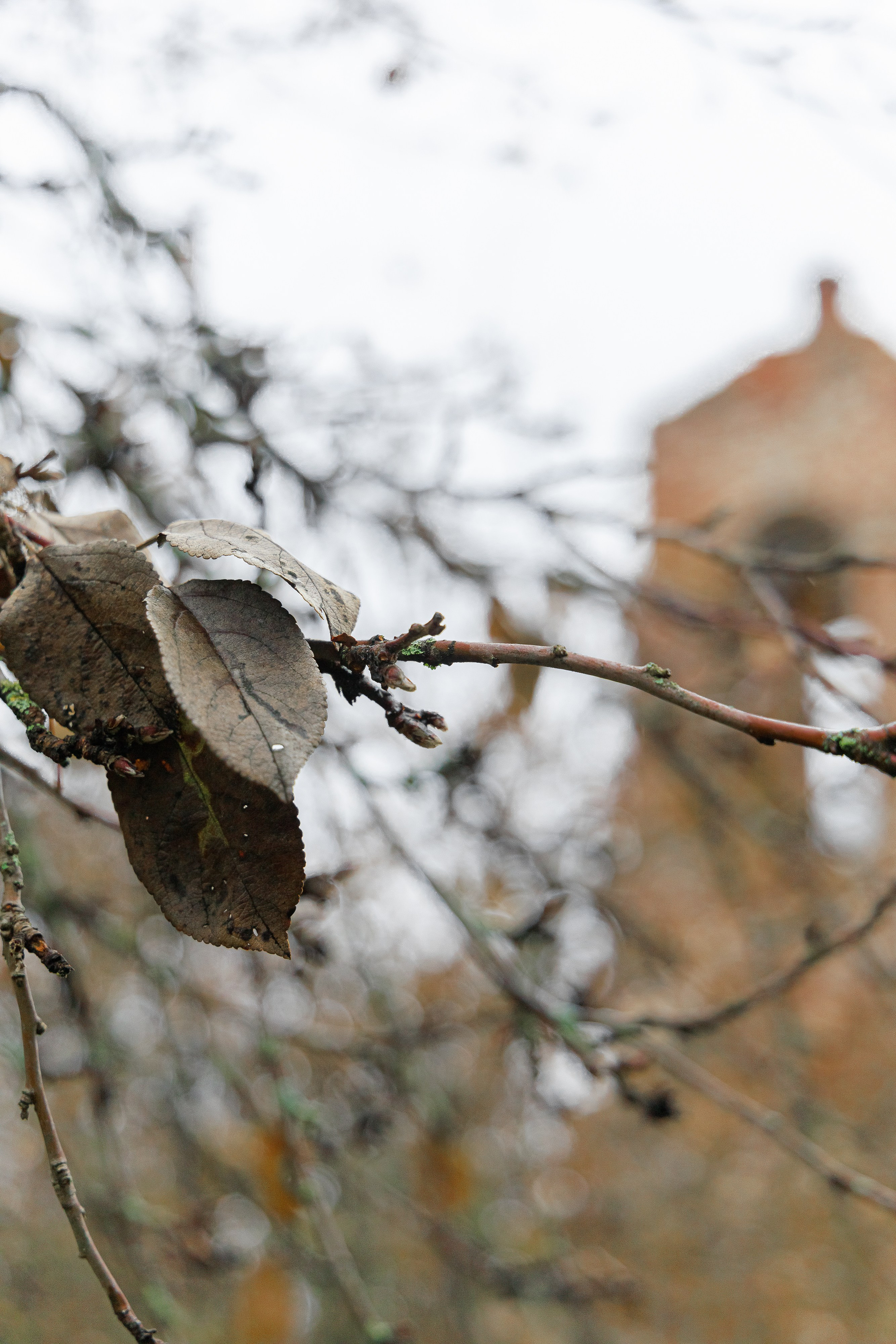 Фотоэкспедиция для ЯндексКарты в г. Новашино. Интерьерный, предметный фуд-фотограф в Нижнем Новгороде Наталья Латыпова