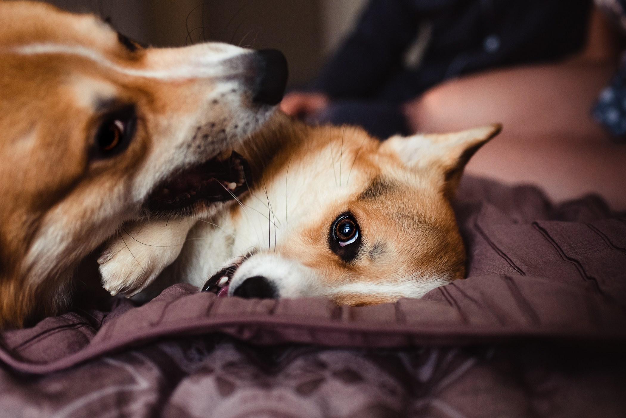 Пижамная вечеринка Тани и Димы. Семейный Фотограф в Москве Ирина Хохлова