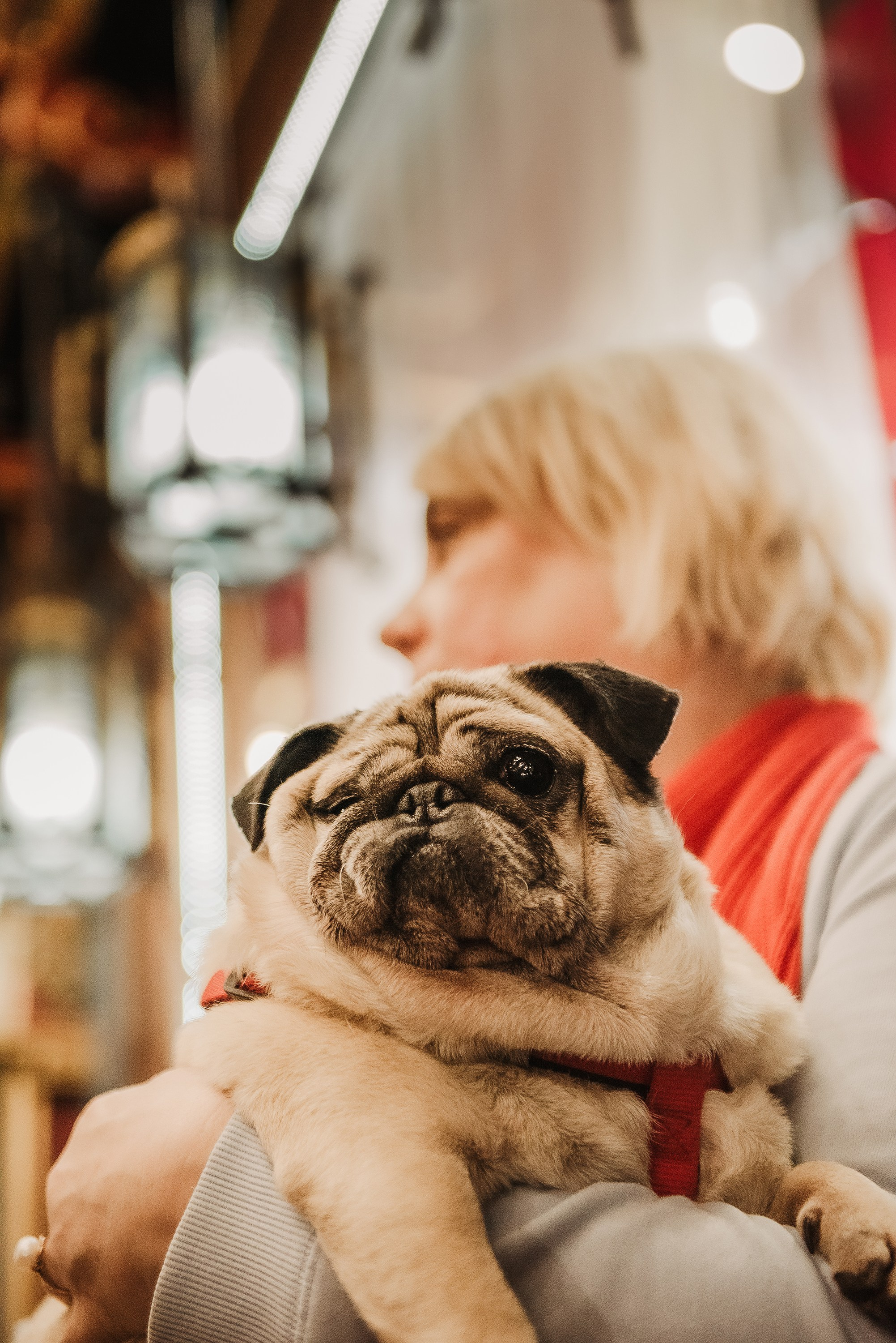 Ольга и Потапум. Прогулка к чайному дому. Семейный Фотограф в Москве Ирина Хохлова