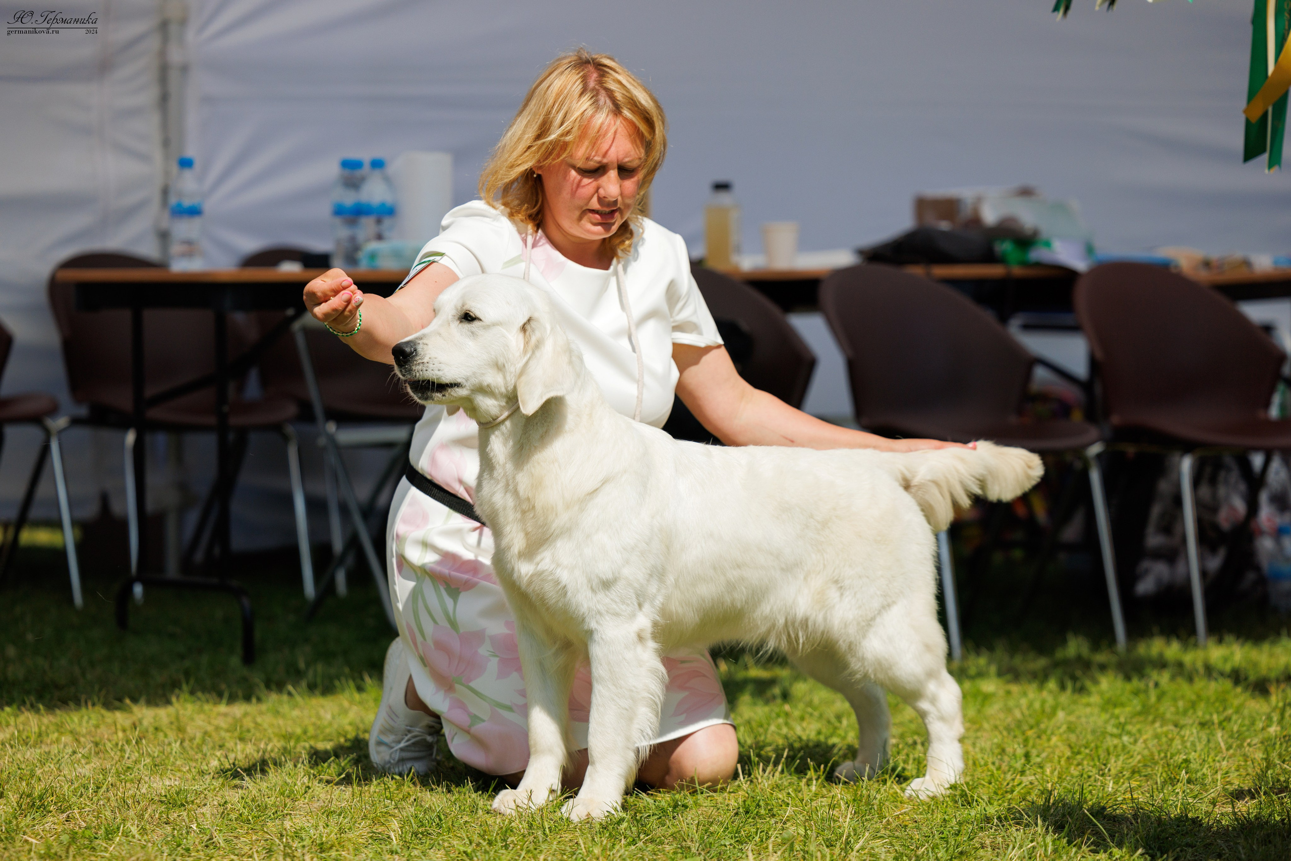 Голдены 15-16.06.2024. Фотограф-анималист Юлия Германика