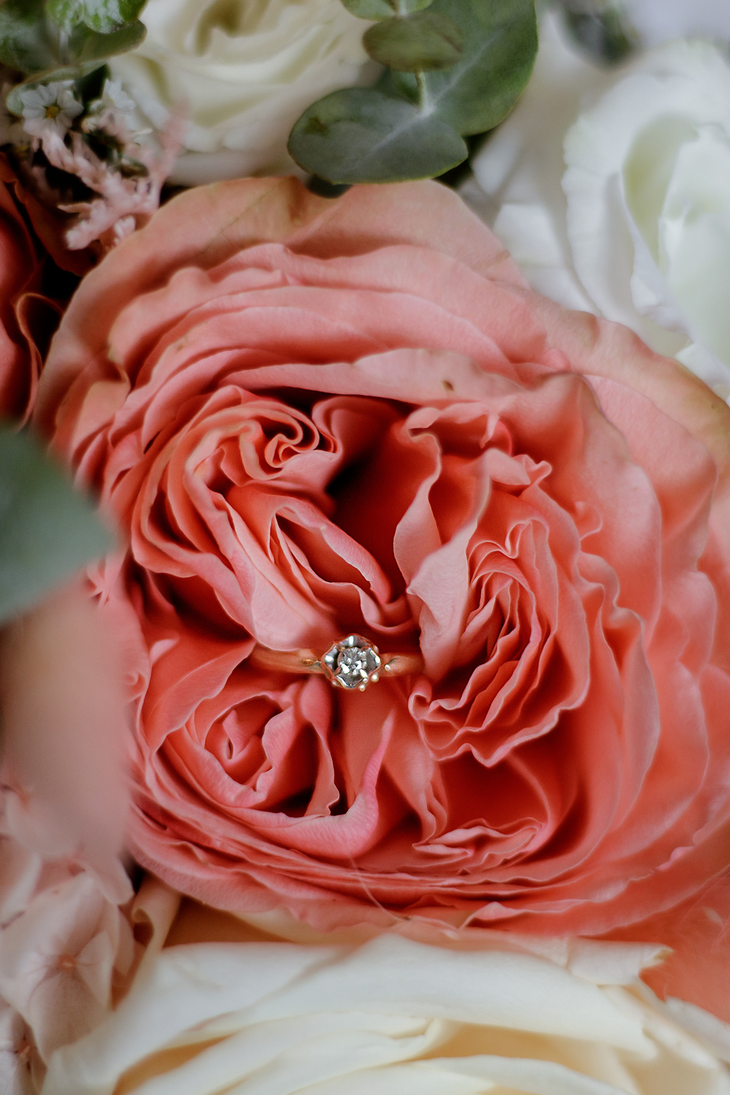 1. Светлана Иванова - профессиональный фотограф