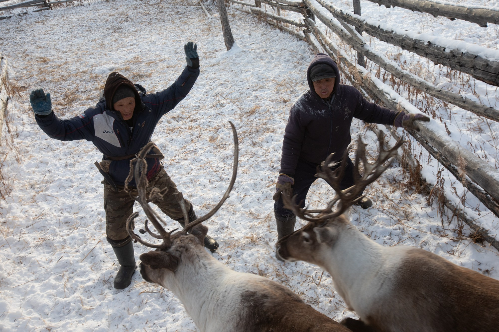 Не забудь накормить озеро. Natalya Madilyan