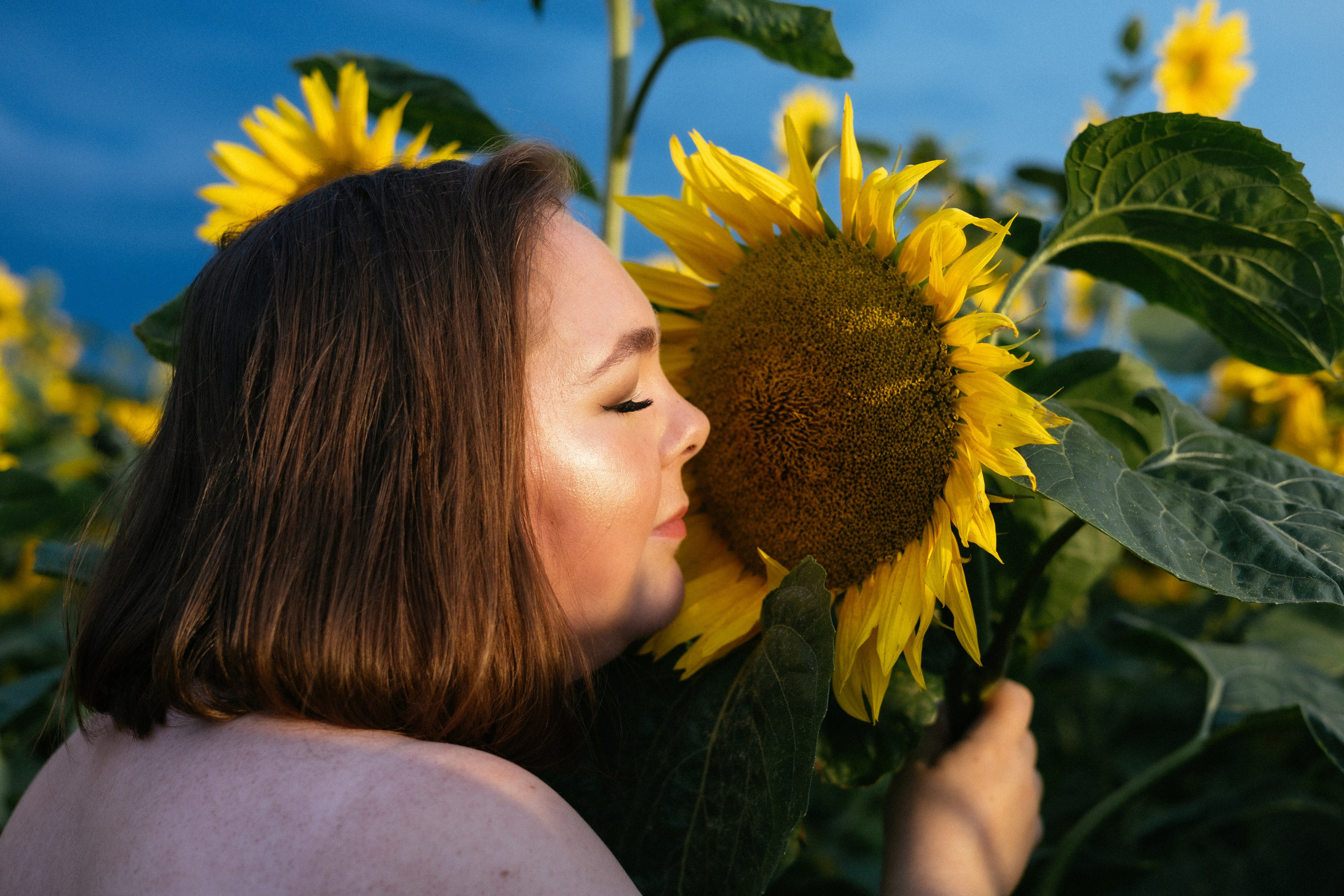 ПОДСОЛНУХИ 2025. Фотограф Красноярск съемки лавстори, фотосессия в студии, портретная съемка, творческие фотосессии