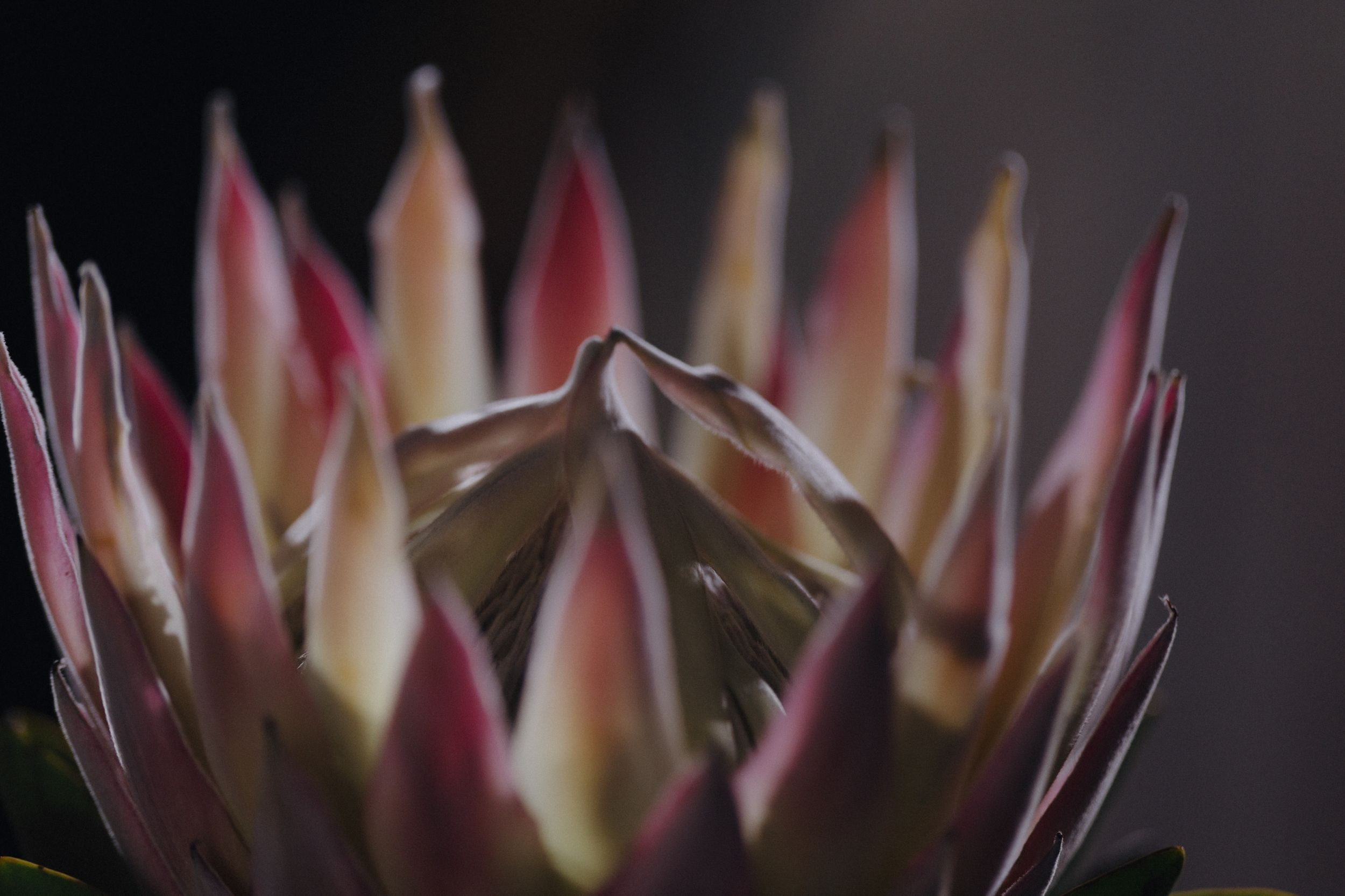 02.10.25 Аня и Влад. Свадебный организатор Екатеринбург