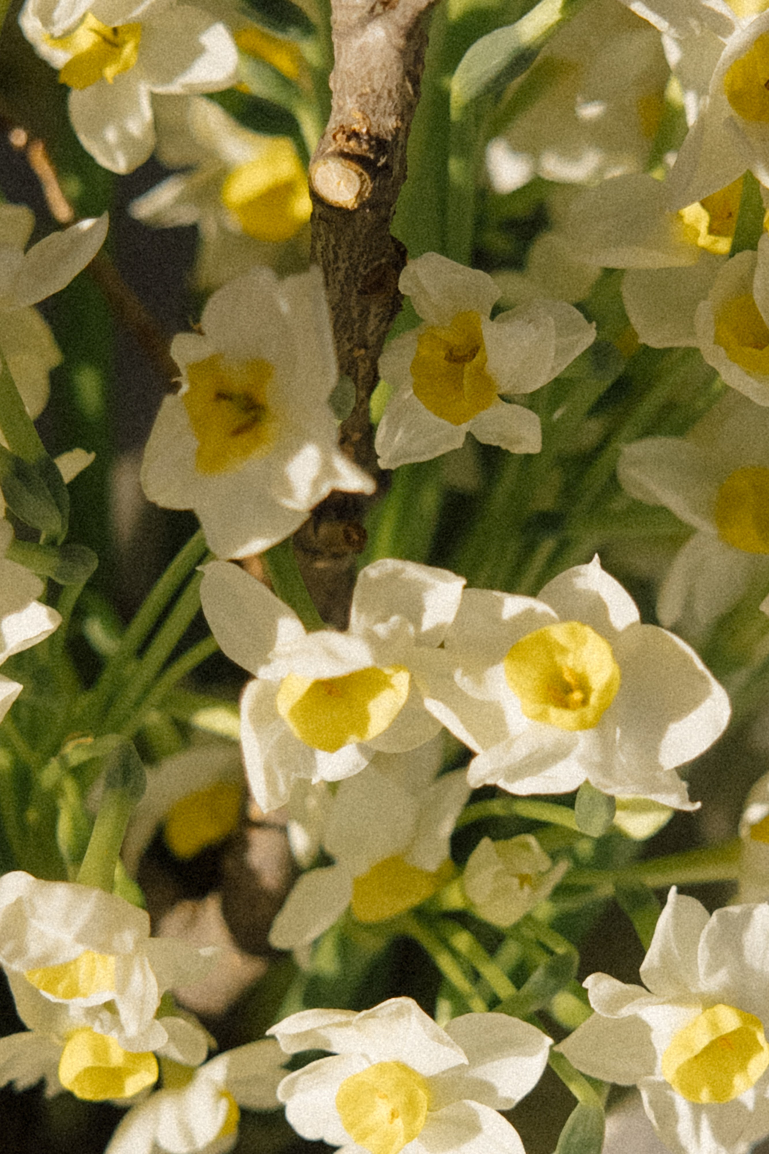 Лера|Юра. Свадебный фотограф Таня Караисаева