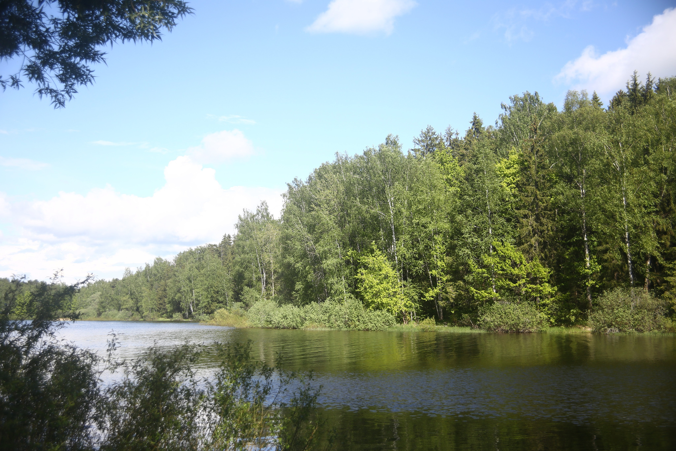 Всё, что я вижу вокруг себя