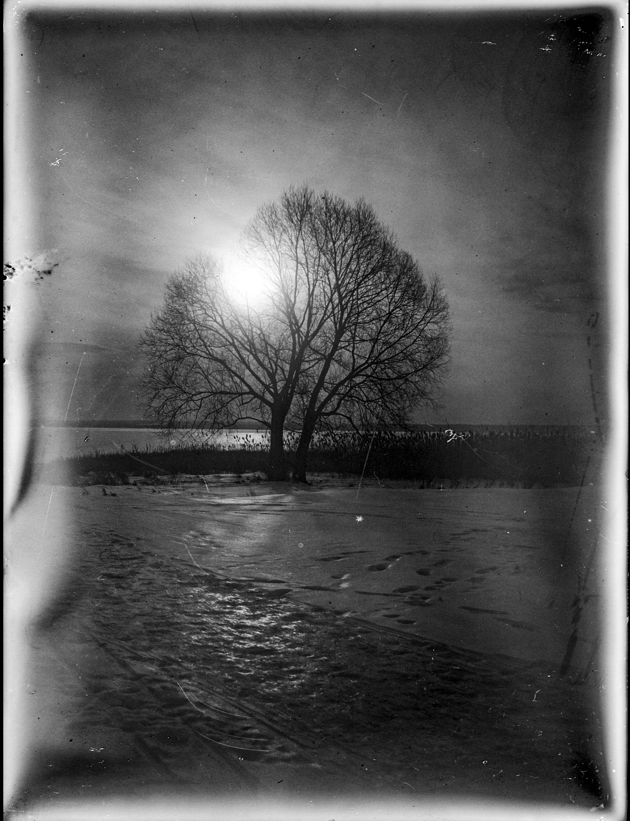Glass plates. Darkroom aesthetics