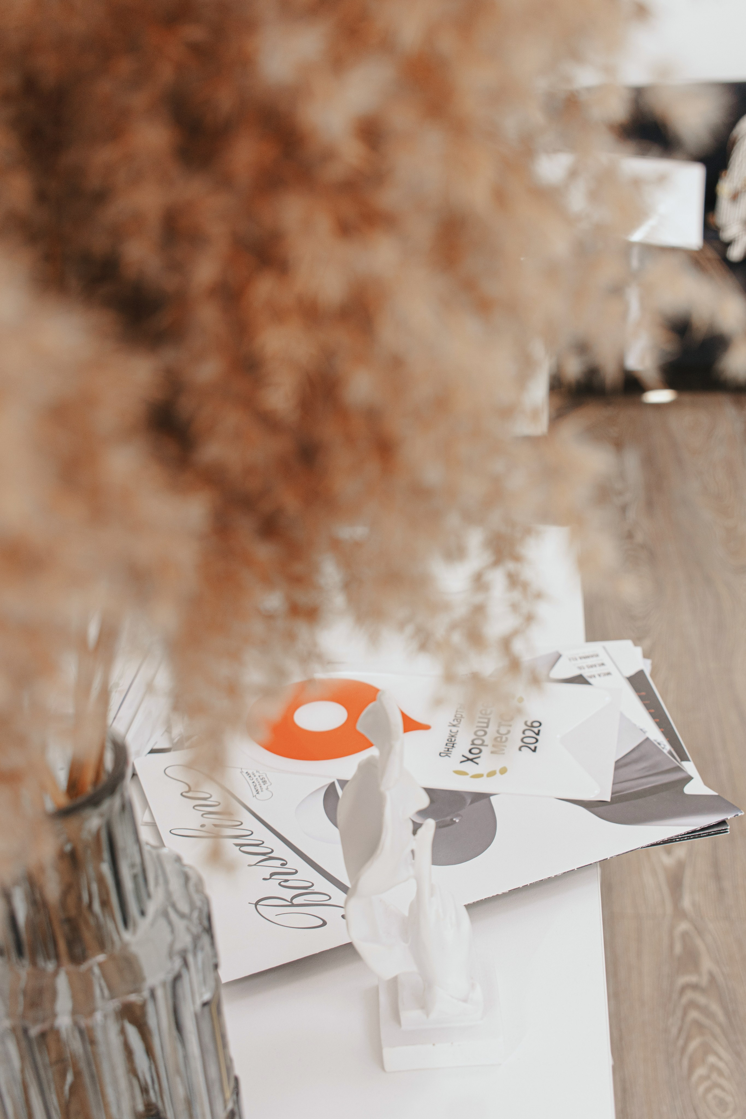 Подолог. Контентная съёмка в Курске | Юлия Болычева