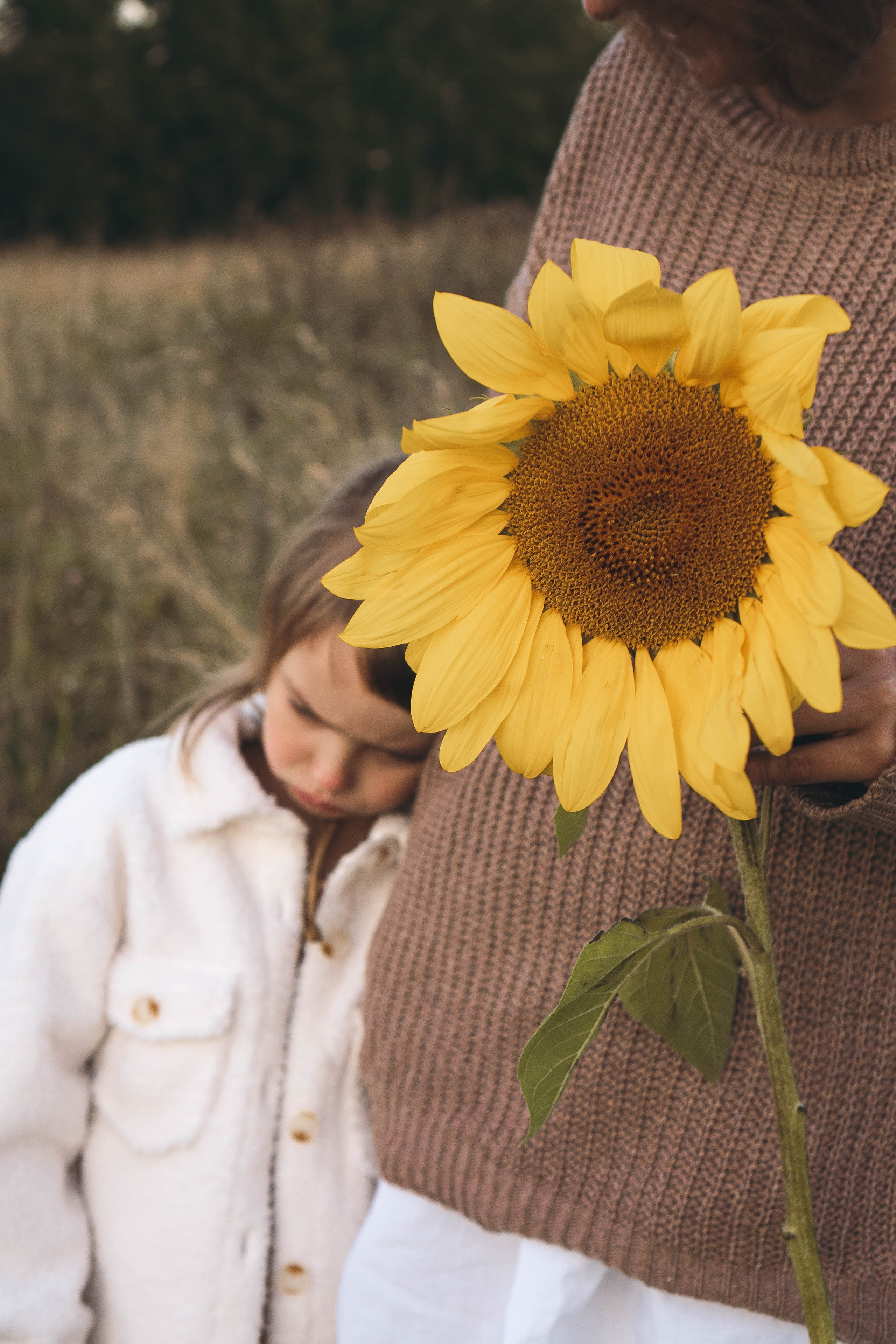 Семейная серия. Профессиональный фотограф, Санкт-Петербург — Виктория Богомолова