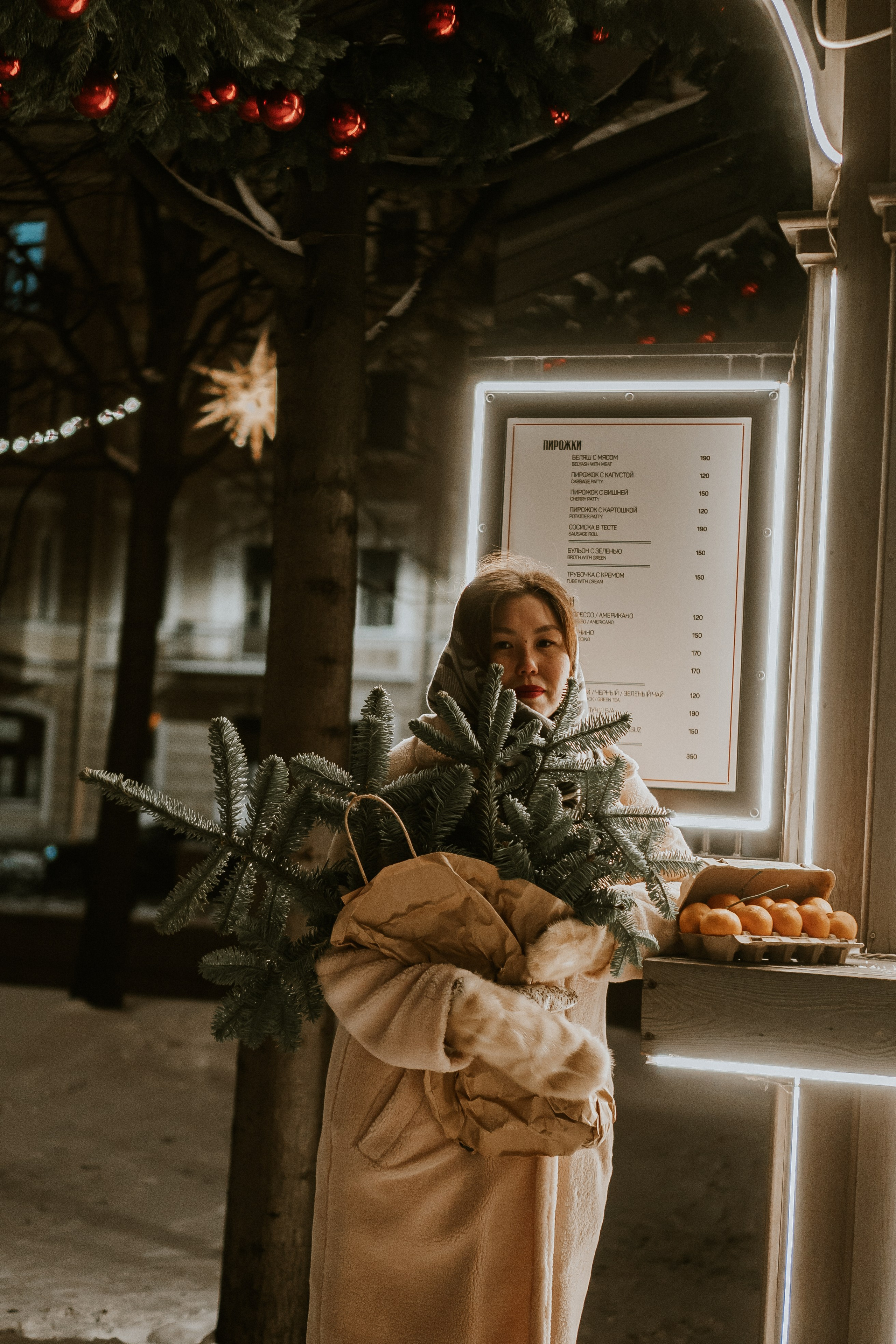 Зимняя сказка в Новой Голандии. Профессиональный фотограф, Санкт-Петербург — Виктория Богомолова