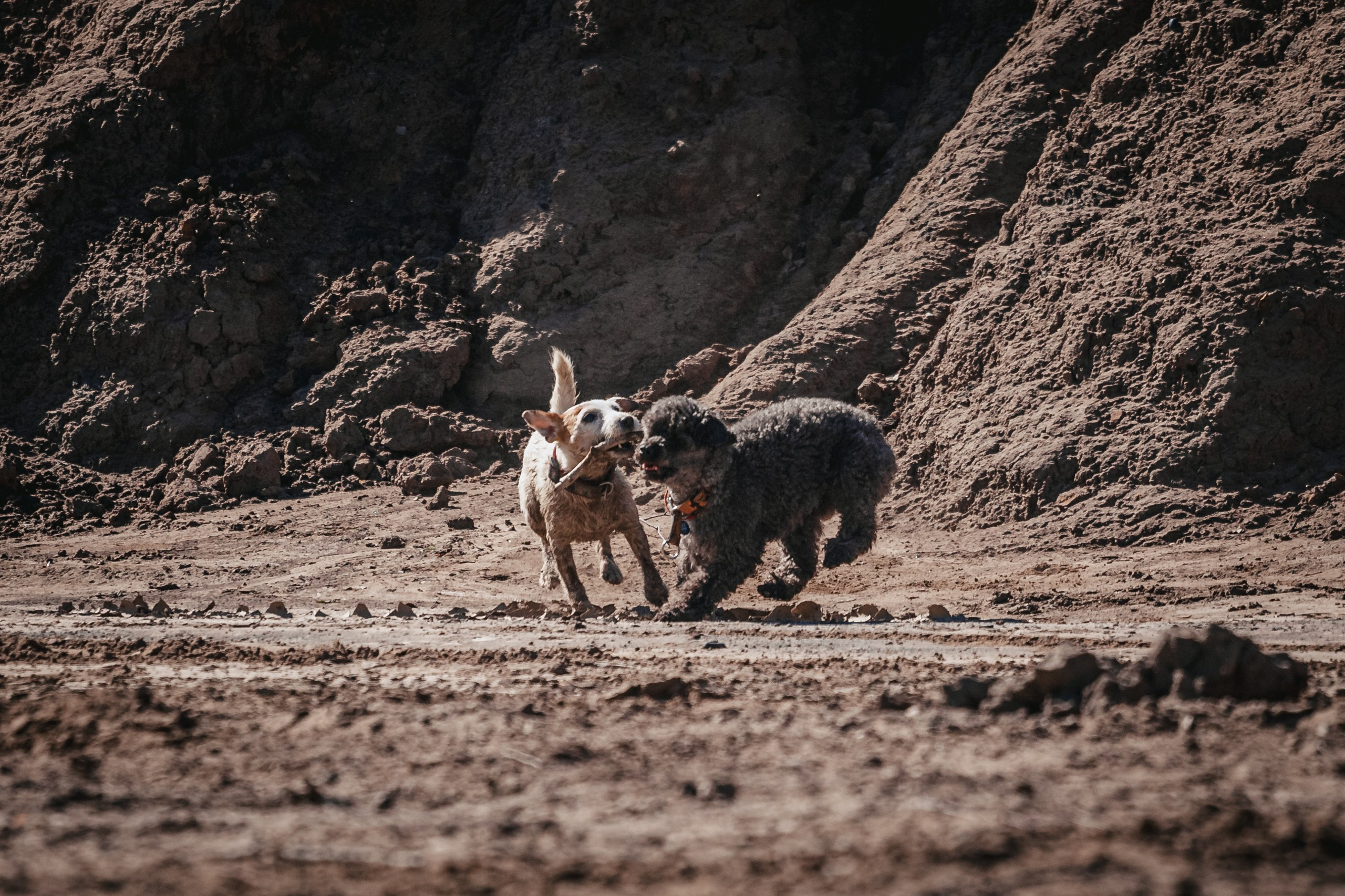 Кондуки. Фотограф-анималист Татьяна Степанова