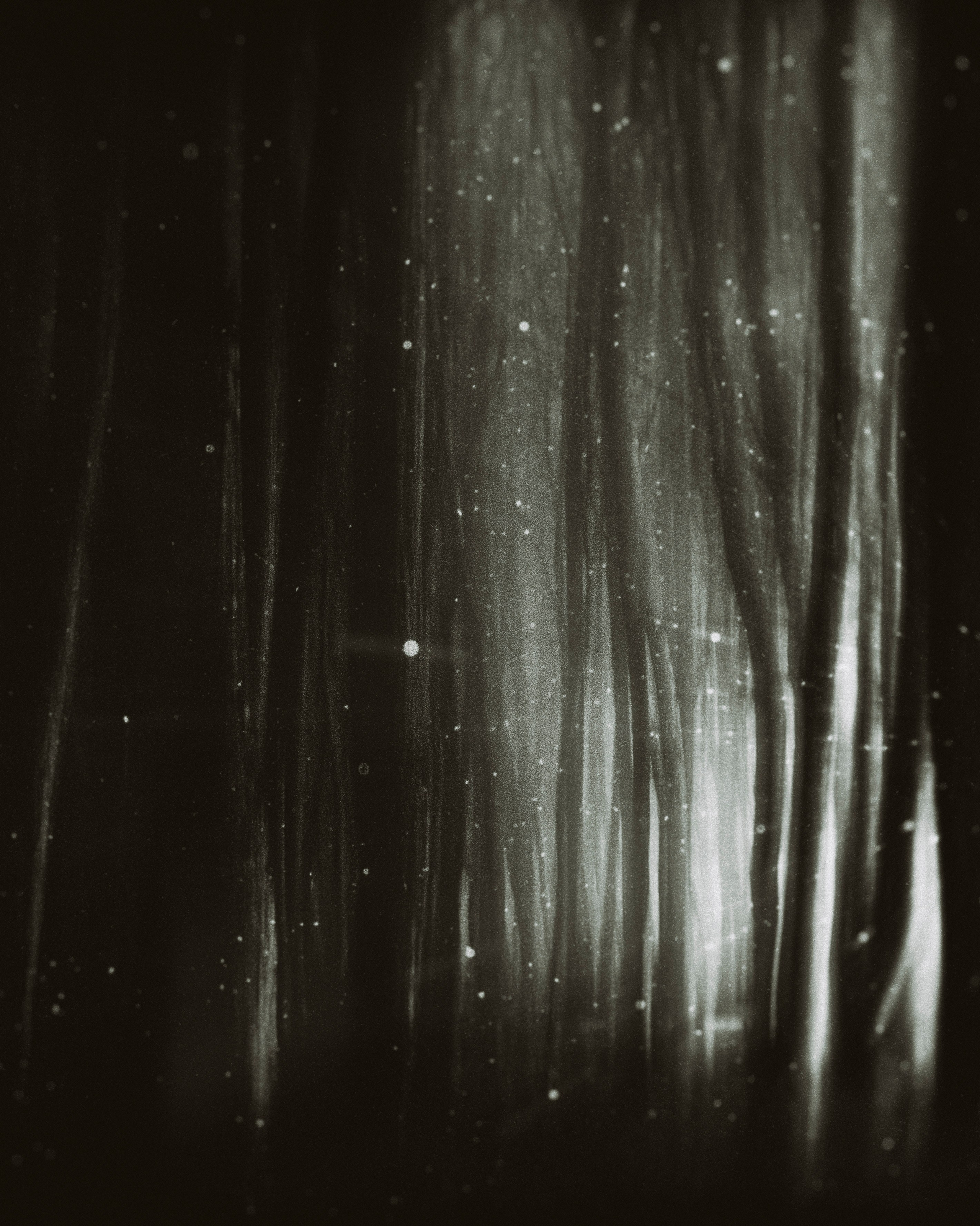 Child of the forest. Visual artist