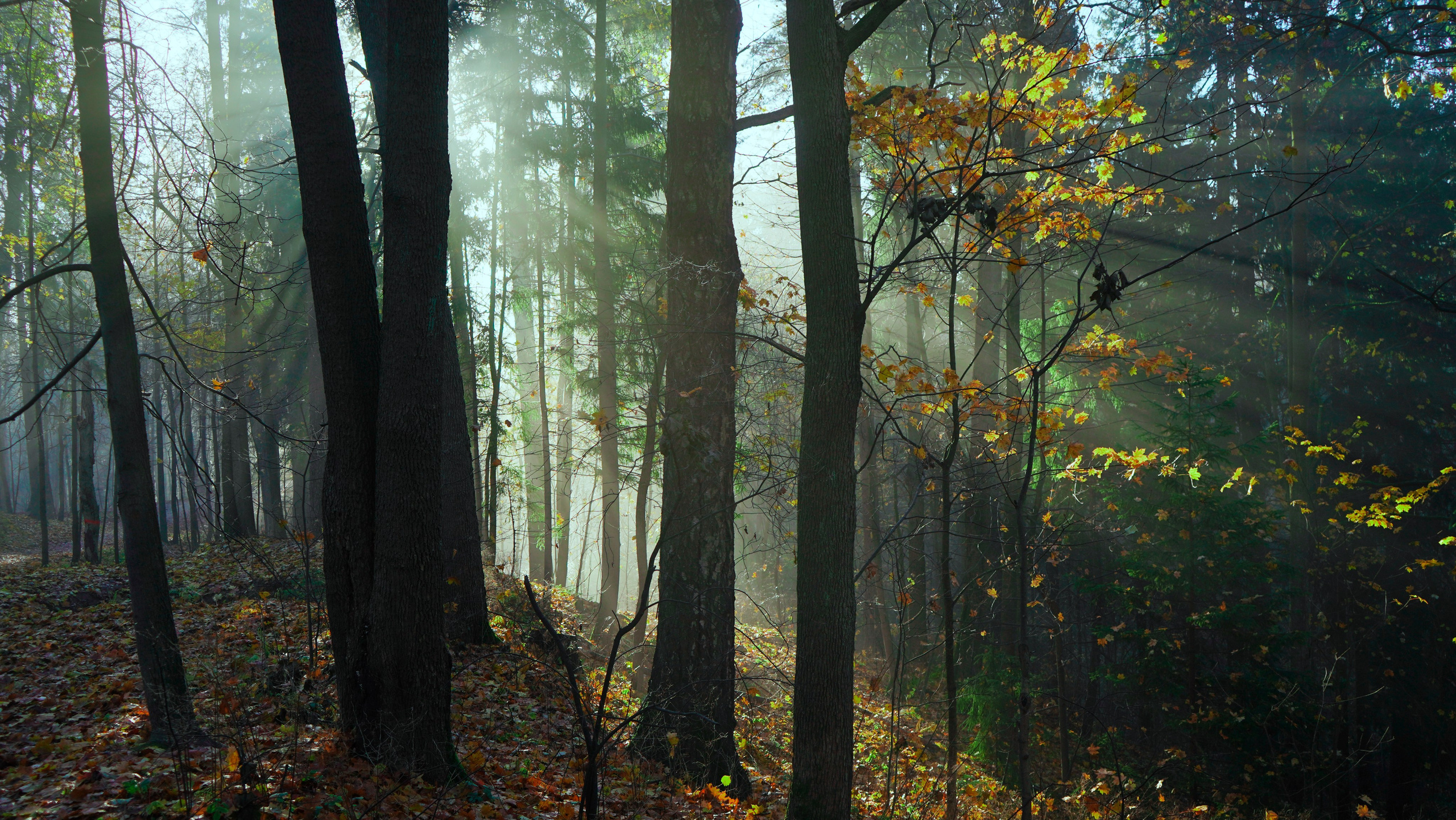 Путешествия. Репортажная съемка фото|видео