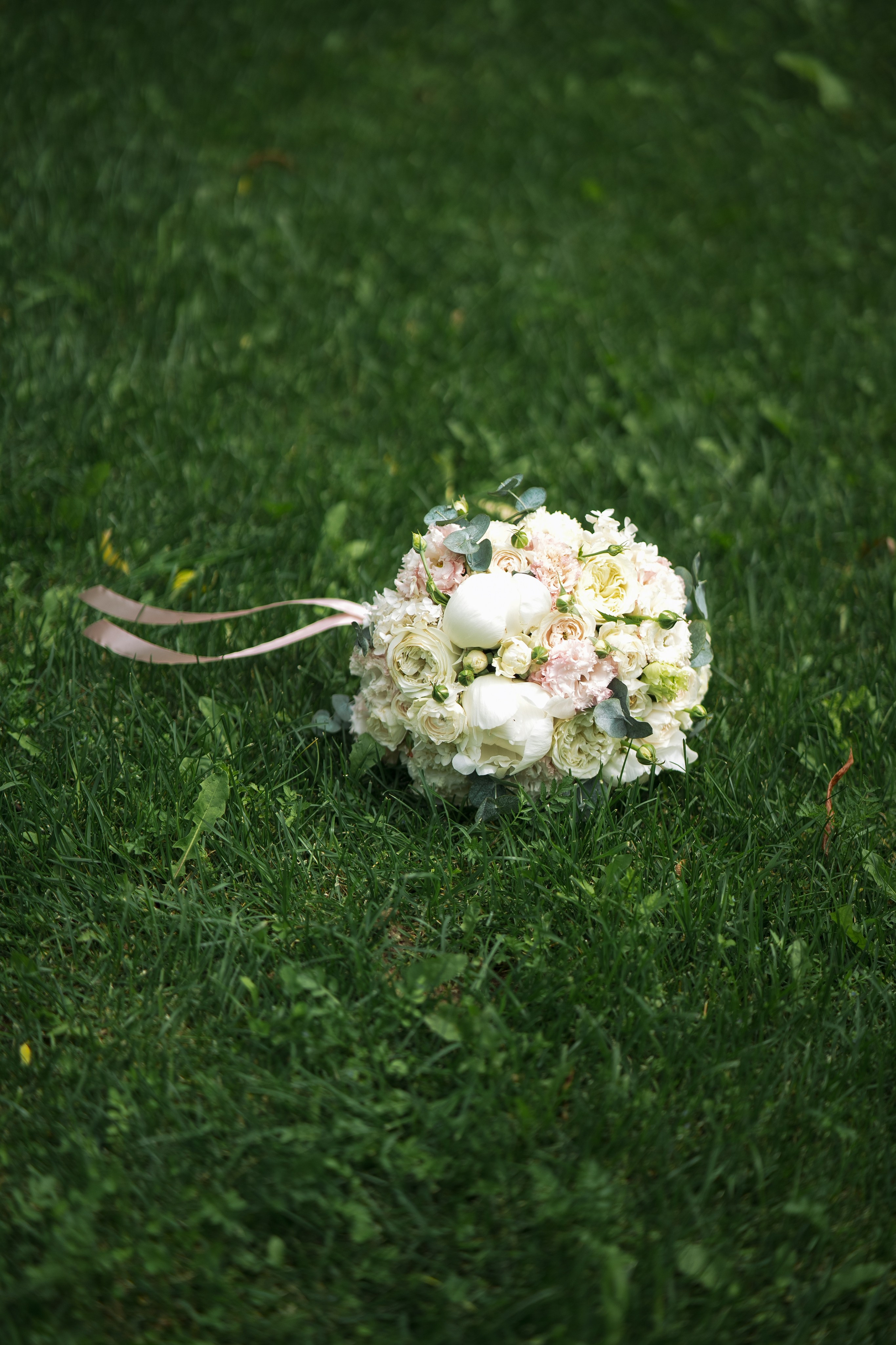 Динамо. Фотограф Мария Зайчик