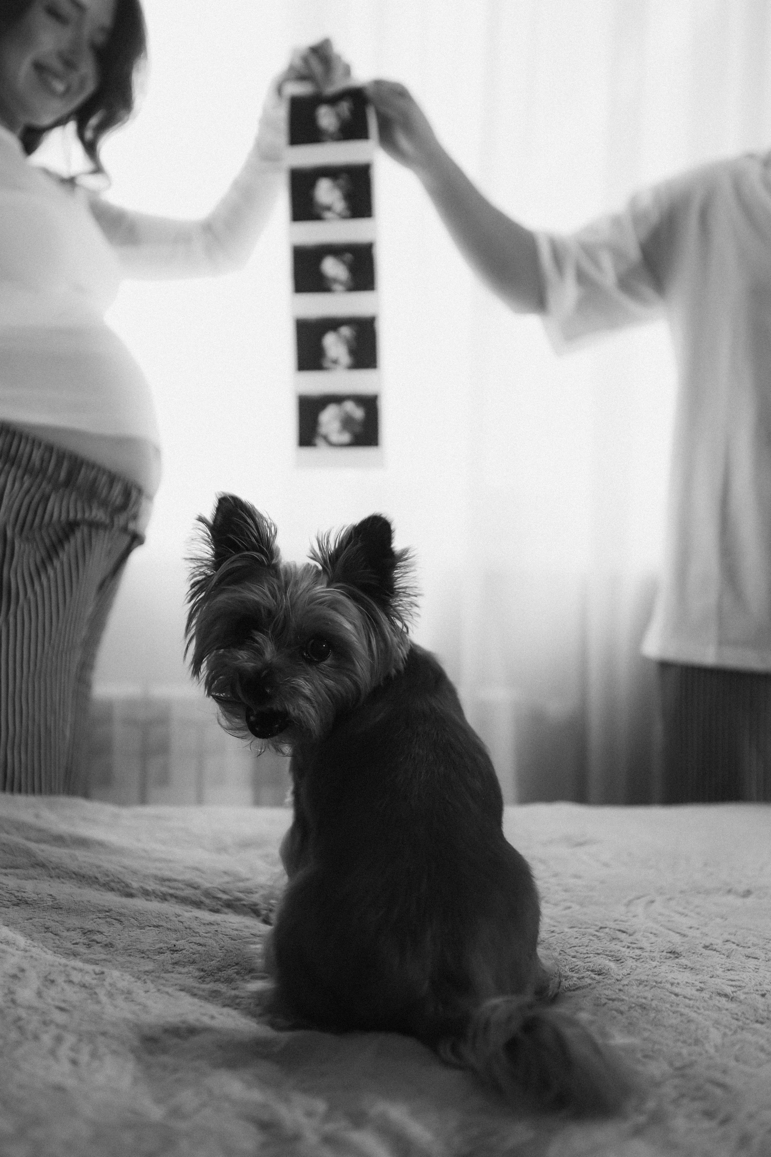 Там, где уютно и тепло. Фотограф в Крыму Богдана Захарчук