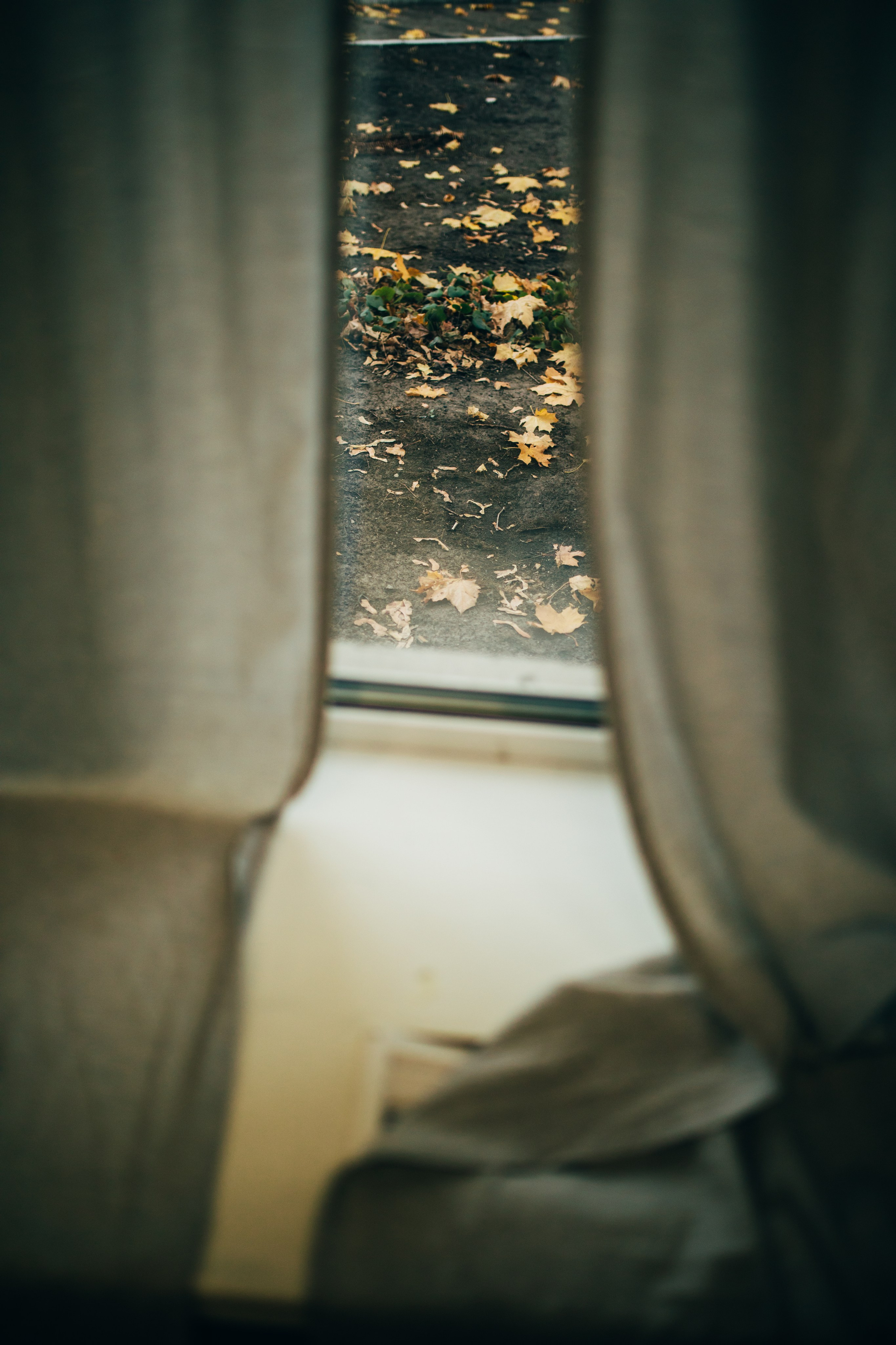 Фотографии женского круга. Фотограф Лебедева Наталья