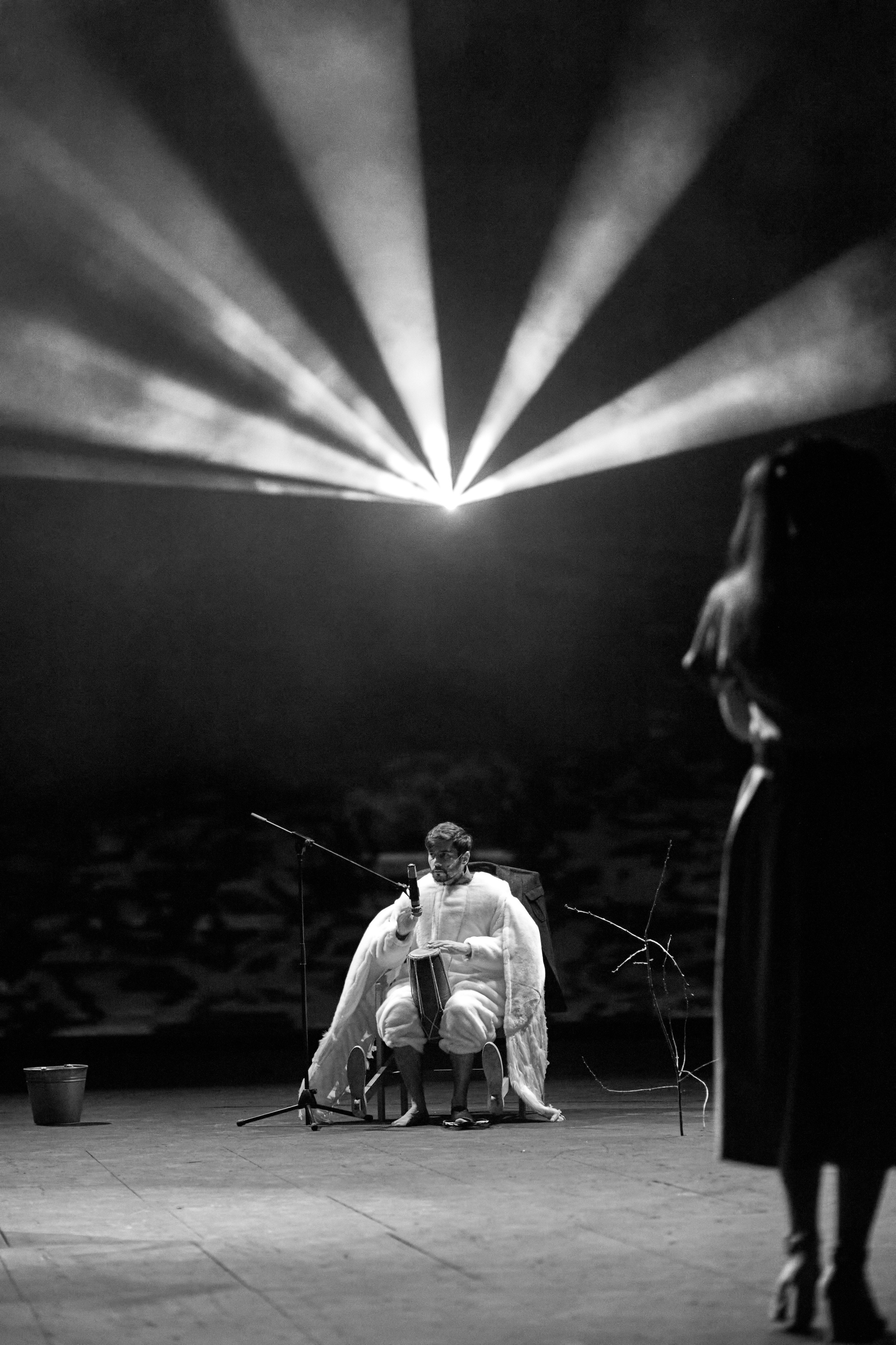 Чайка. Фотограф Юлия Маринина