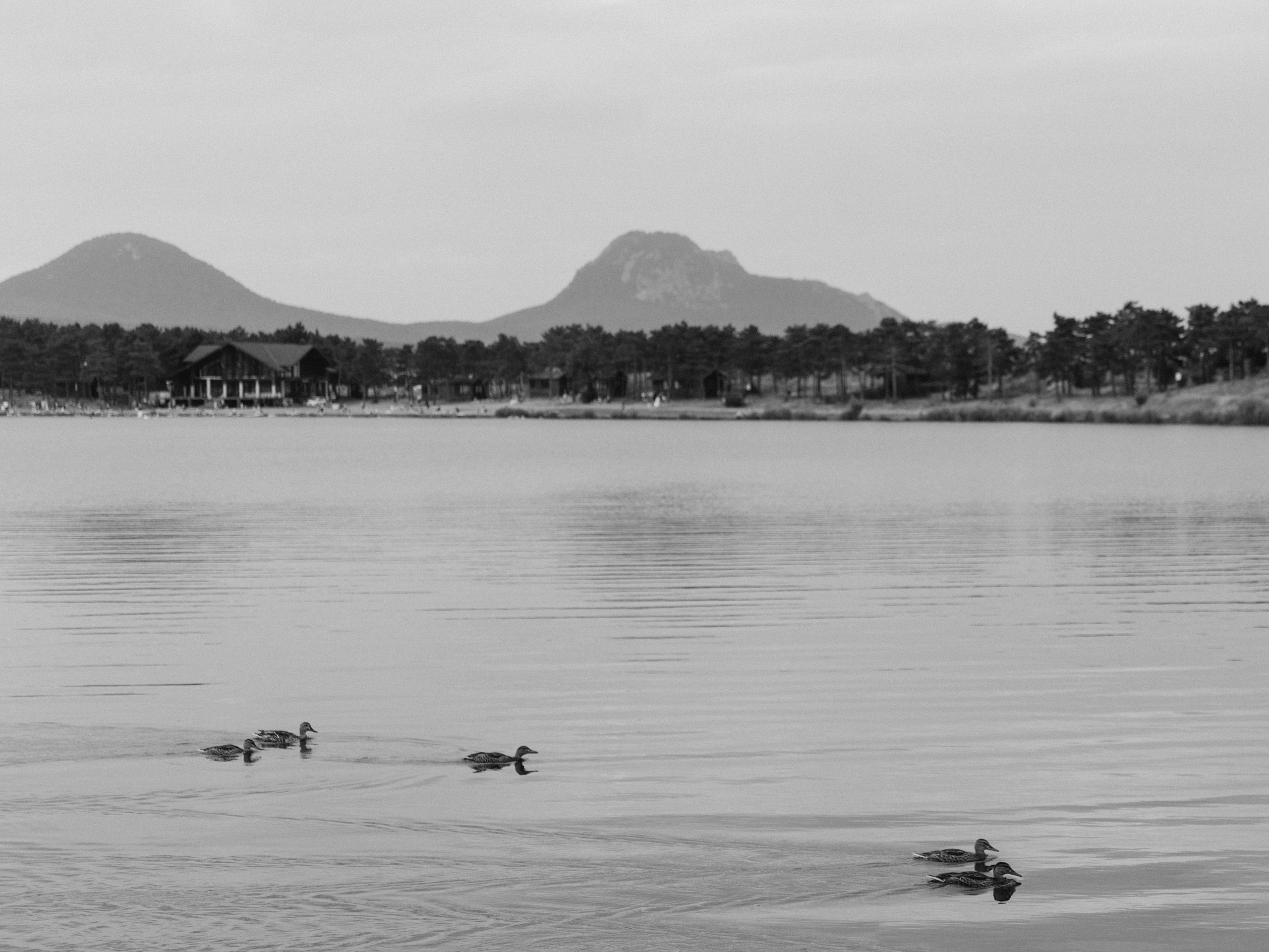 4+1. Свадебный фотограф Ирина Беляева Пятигорск|Кисловодск|Эльбрус|Домбай