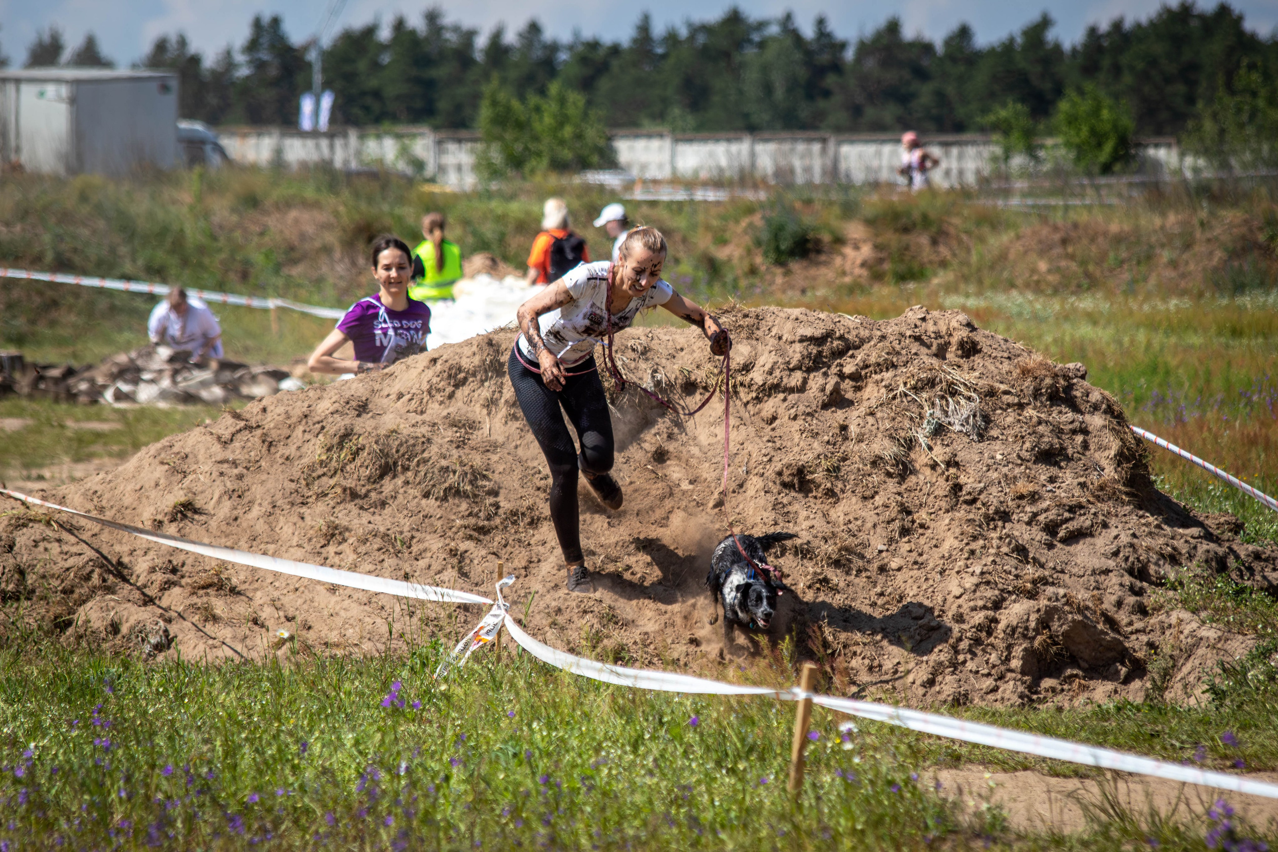 Хвостатый Драйв 2024. Фотограф анималист — Тула, Москва