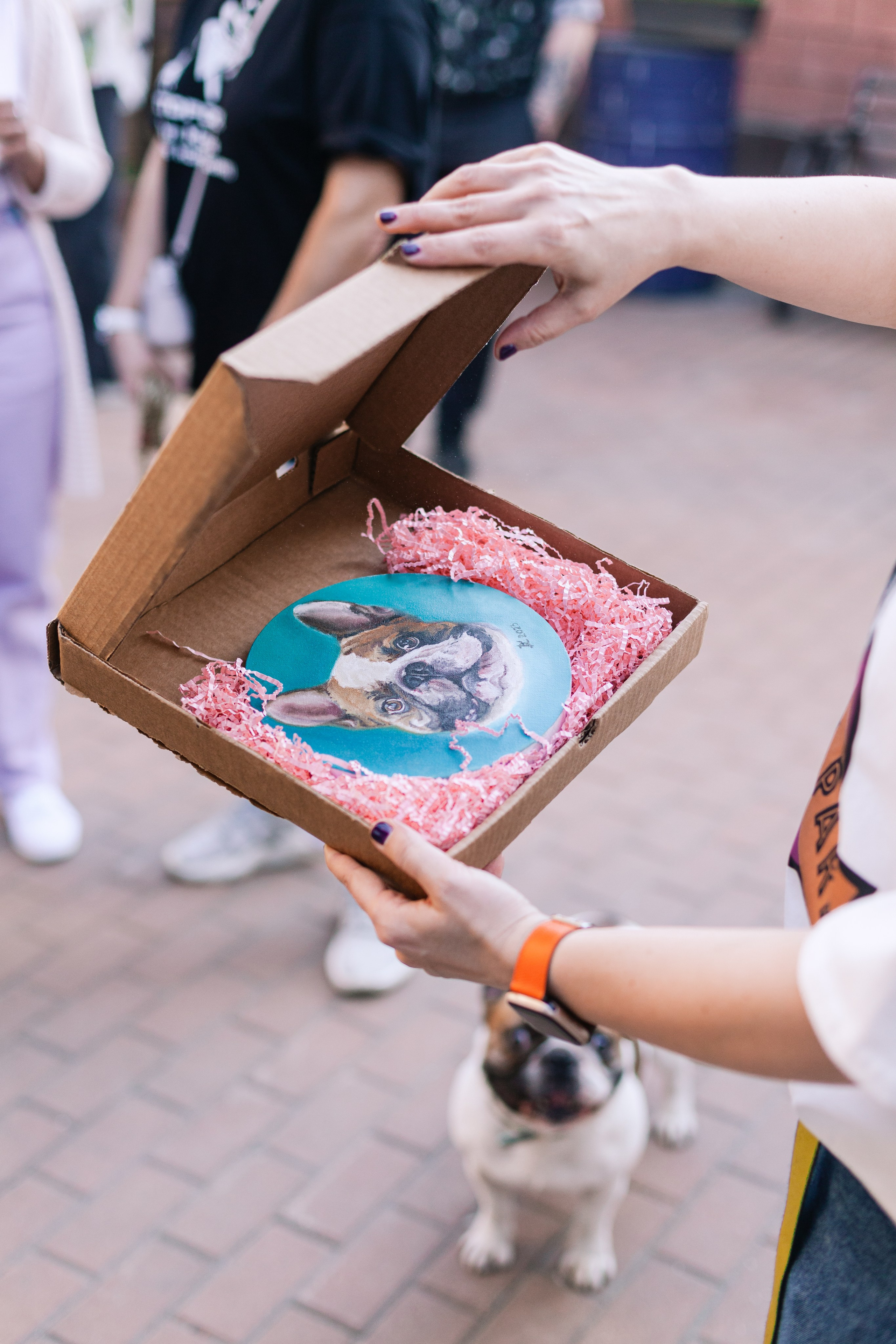 Бульбалл 23.04.2023. Фотограф-анималист Татьяна Степанова