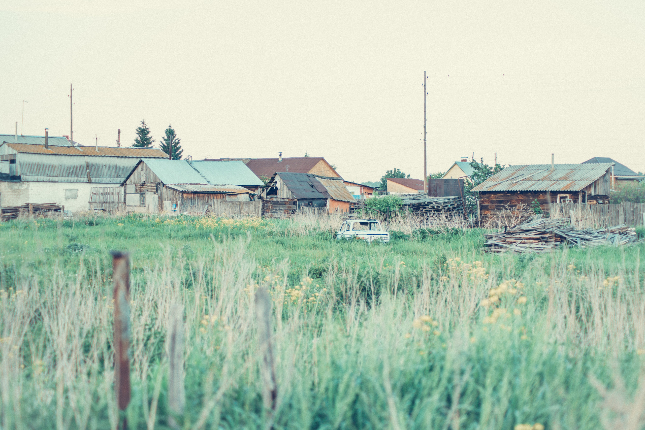 Warm Light of a Quiet Life. Whoii art