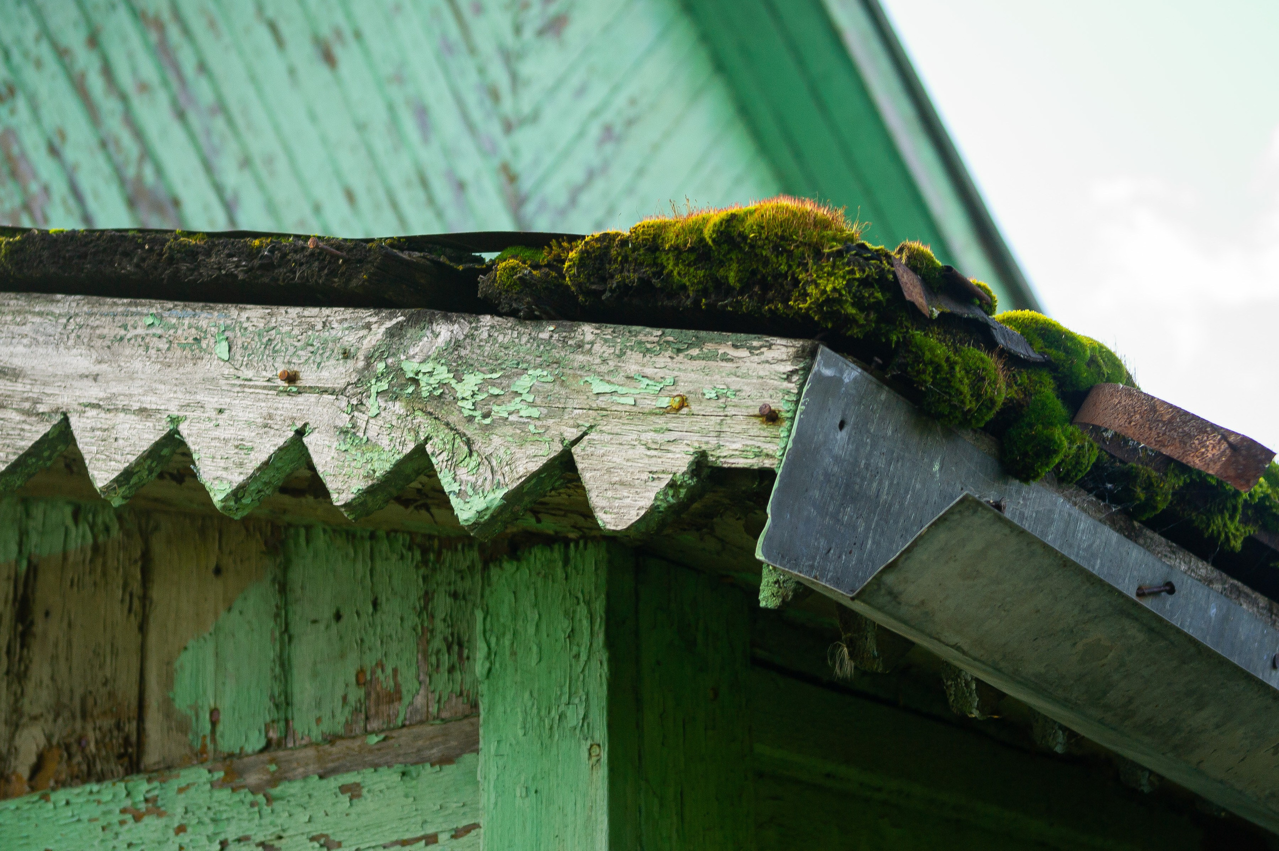 Сентябрь 2025. Den Mirov — Фотограф, Музыкант