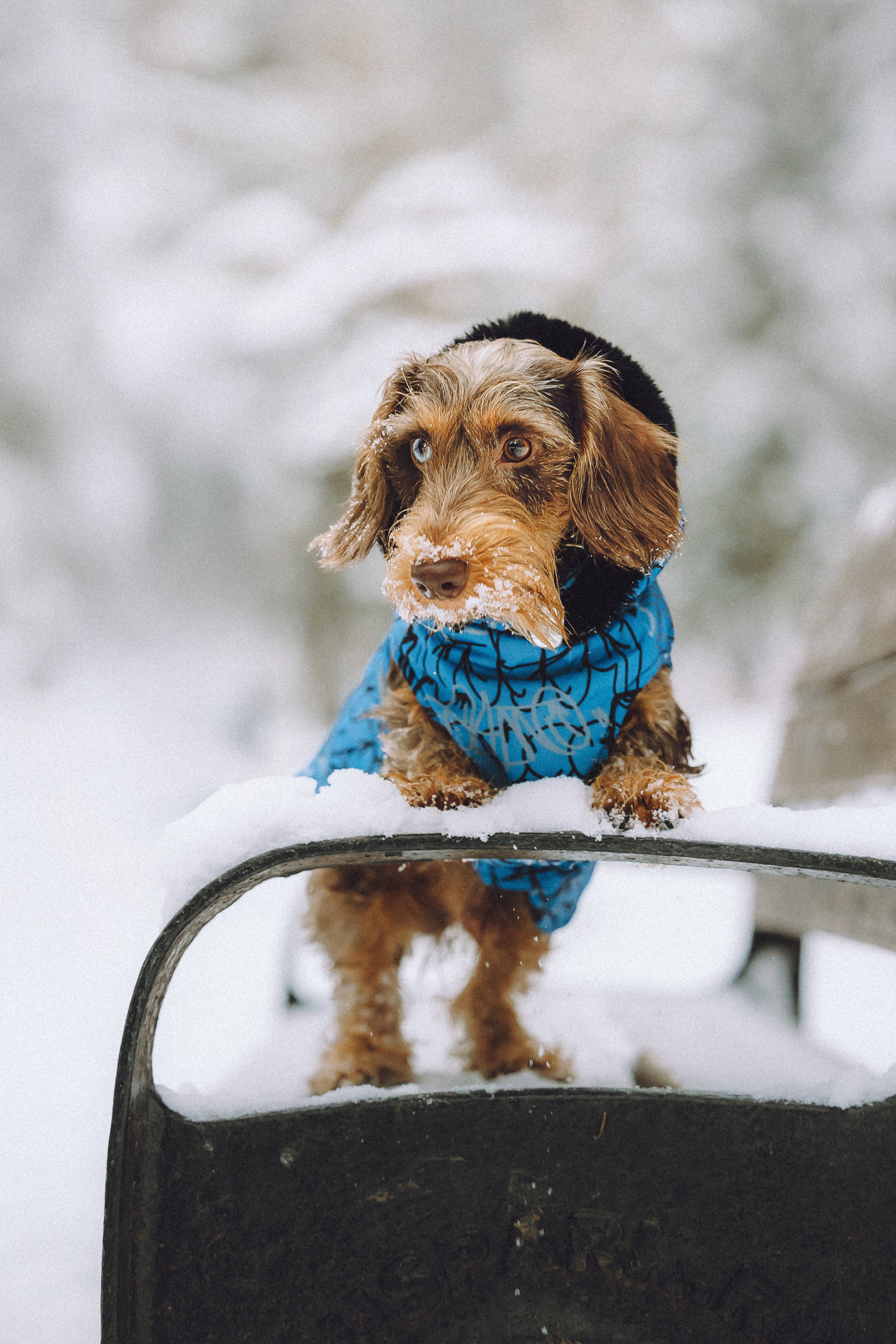 Каспер и его семья