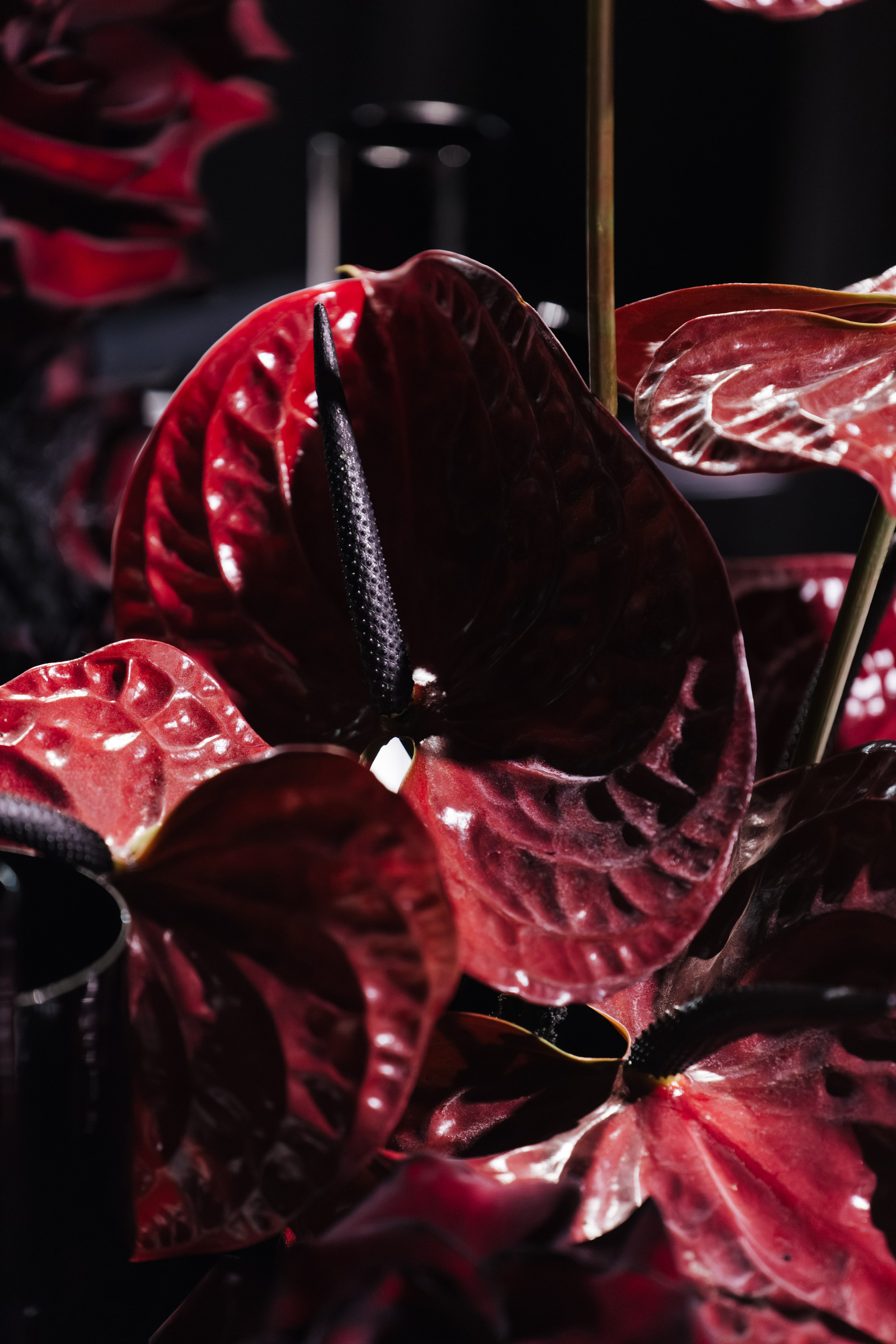 @chili_weddings. Свадебный и репортажный фотограф в Москве Владимир Сергеев | Naysaikolo