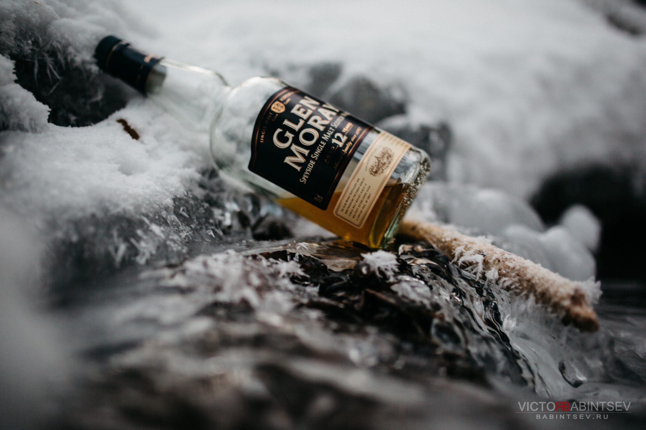 Whisky. Семейный и репортажной фотограф в Красноярске и Москве Виктор Бабинцев