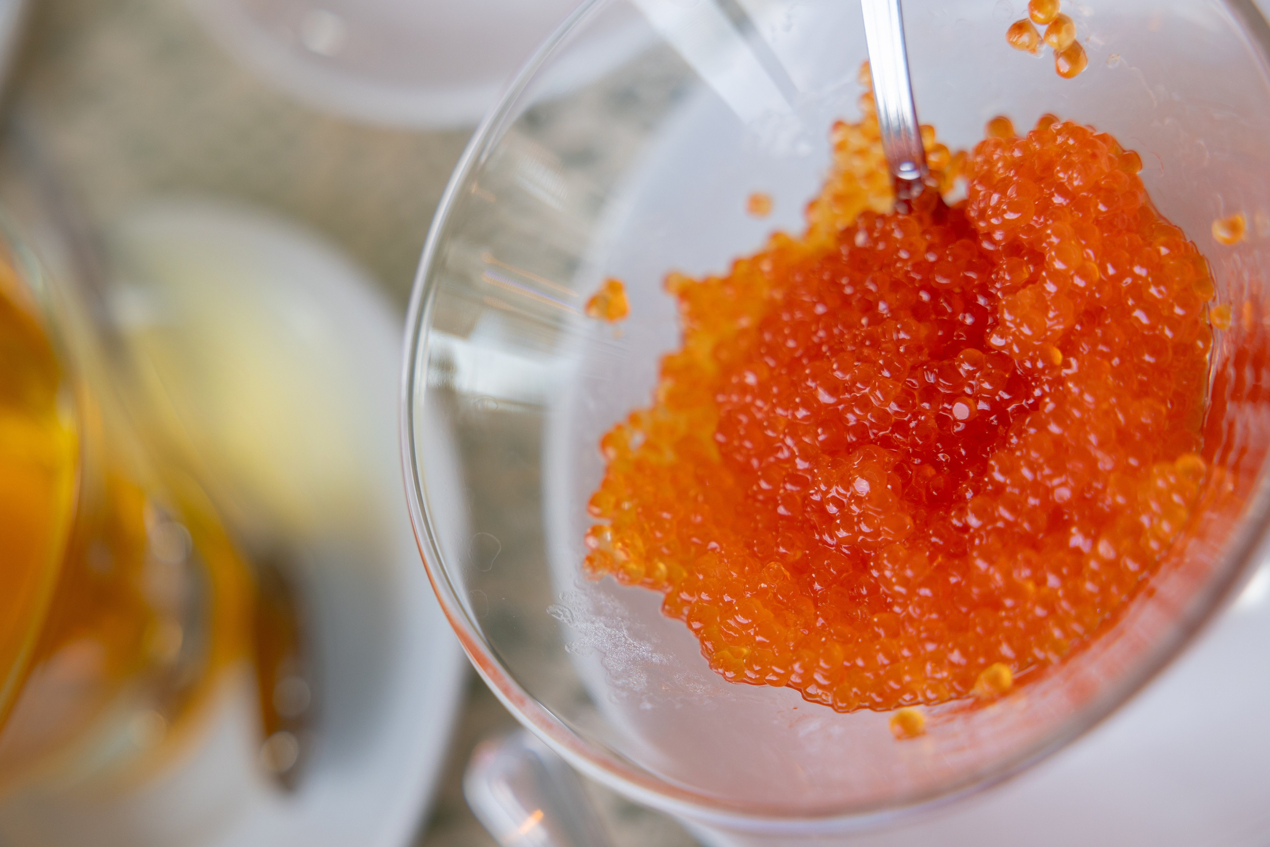 BRICS Russia 2024. Агентство по организации мероприятий