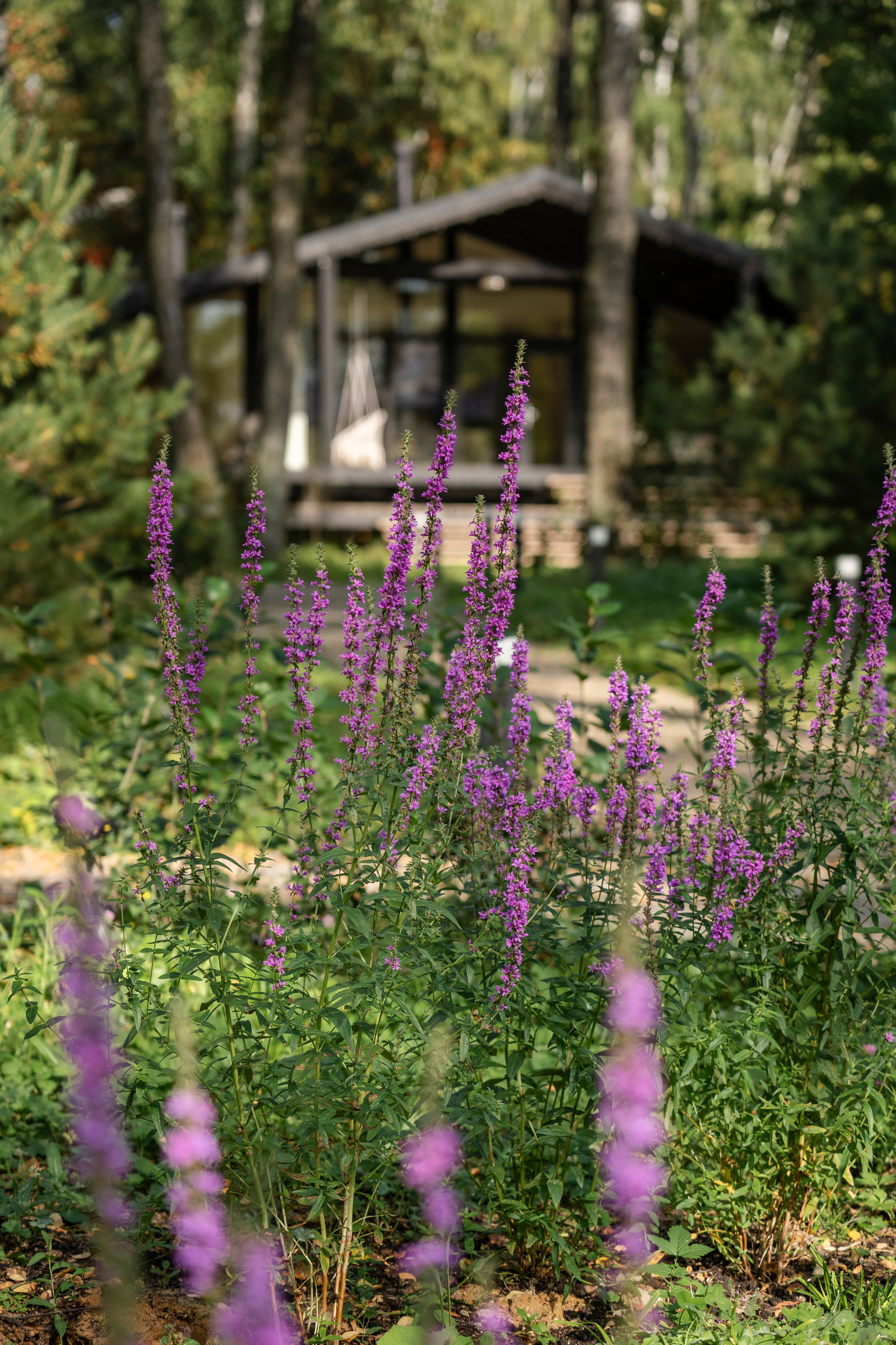DublDom. Артамонов Александр | Архитектурный и ландшафтный фотограф